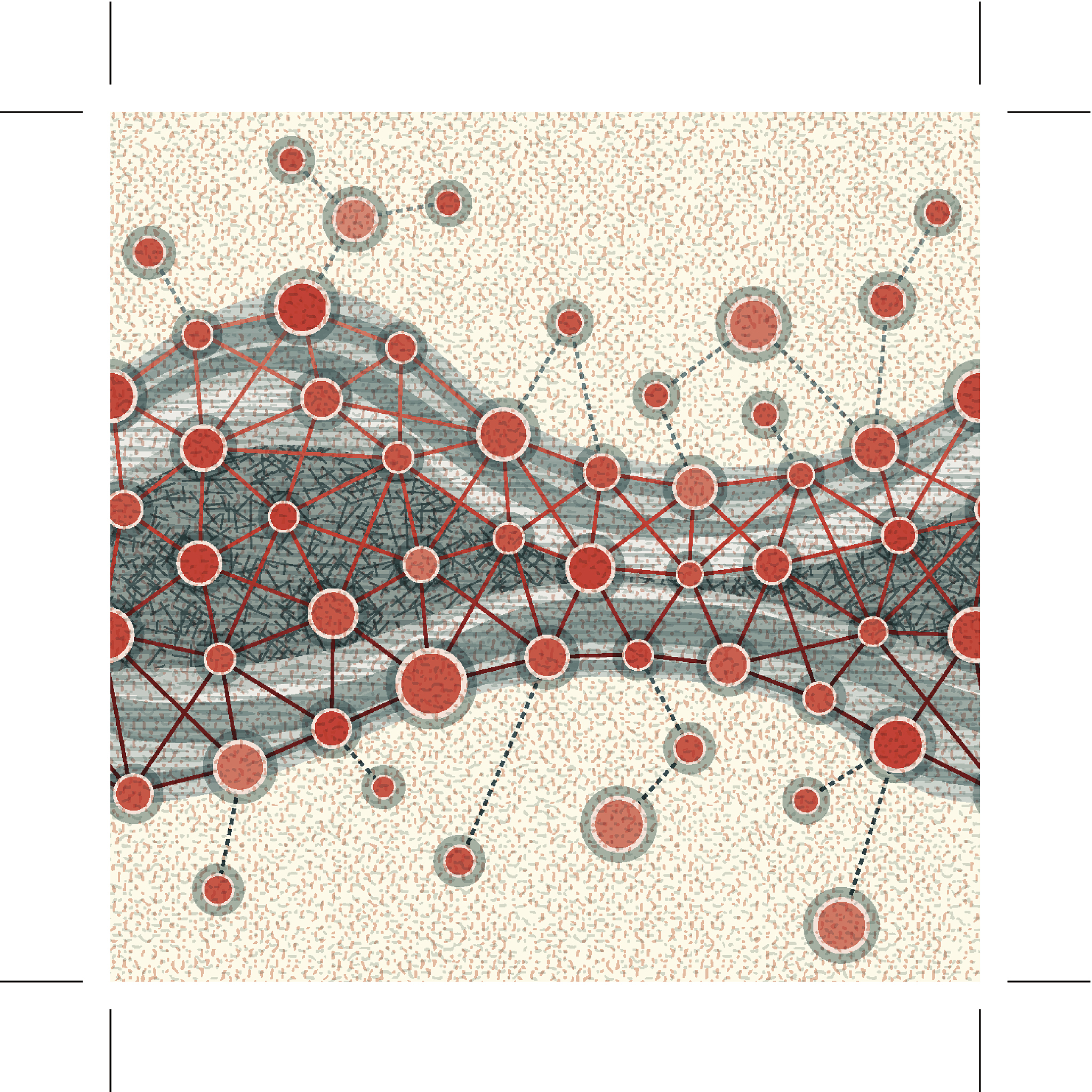 集群型阿米巴组织：赋能小团队，激发创新与灵活