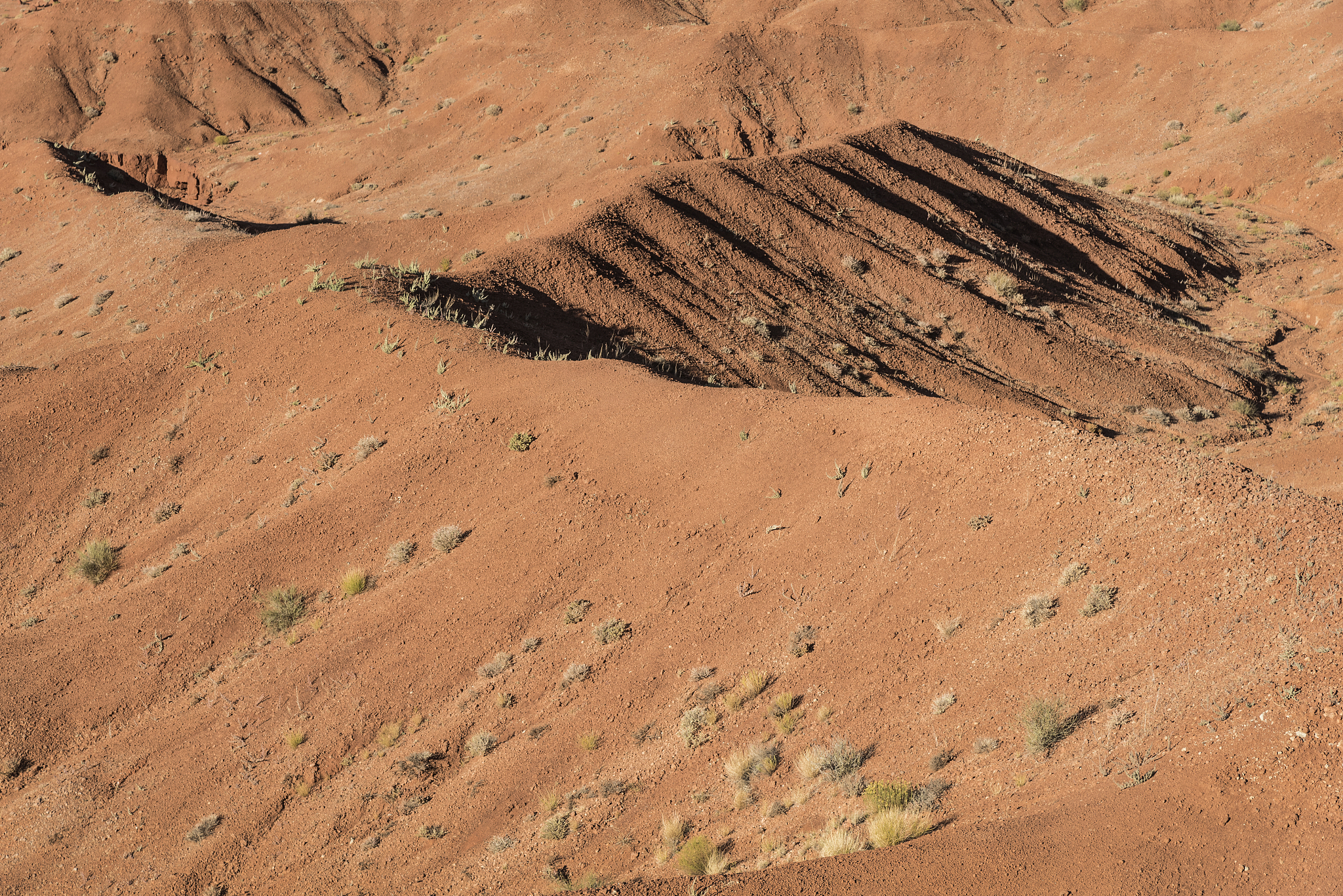desert sand dune