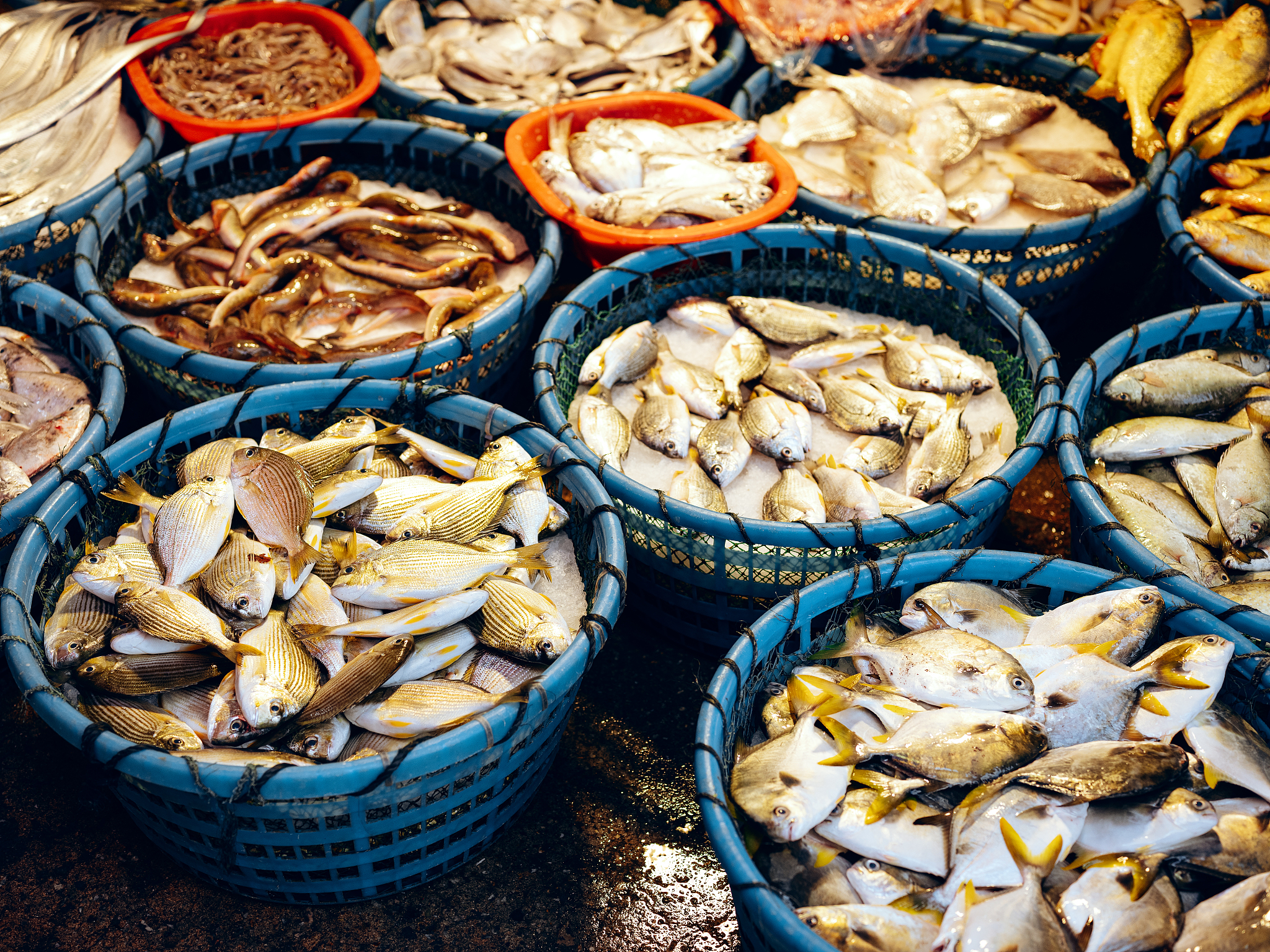 厦门学生分享：这座美丽城市带给我的美好