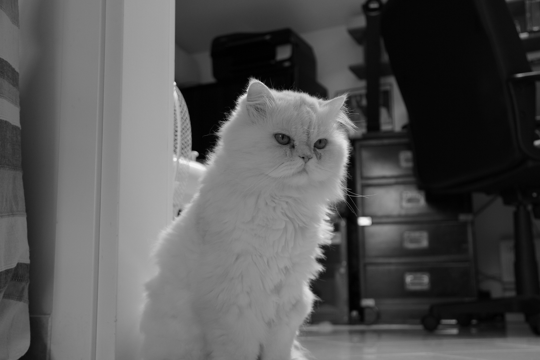 SiQDs-(K/L-P)ox and (K/L-P)ox: A Novel Detection Mechanism for ONOO- Based on Fluorescence Quenching