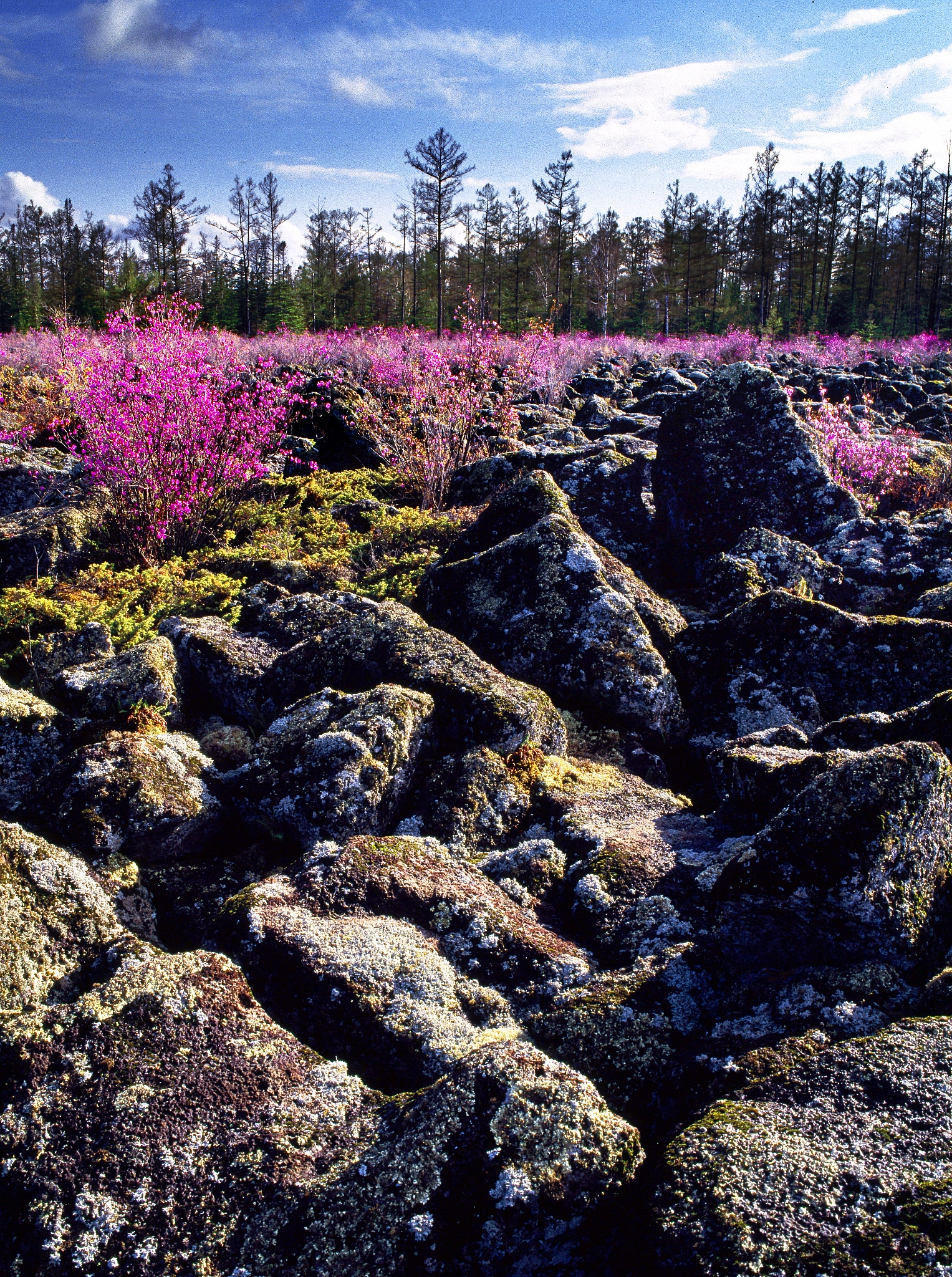 2023年黑龙江省中专学校排名及名单一览表 - 附重点中专学校推荐