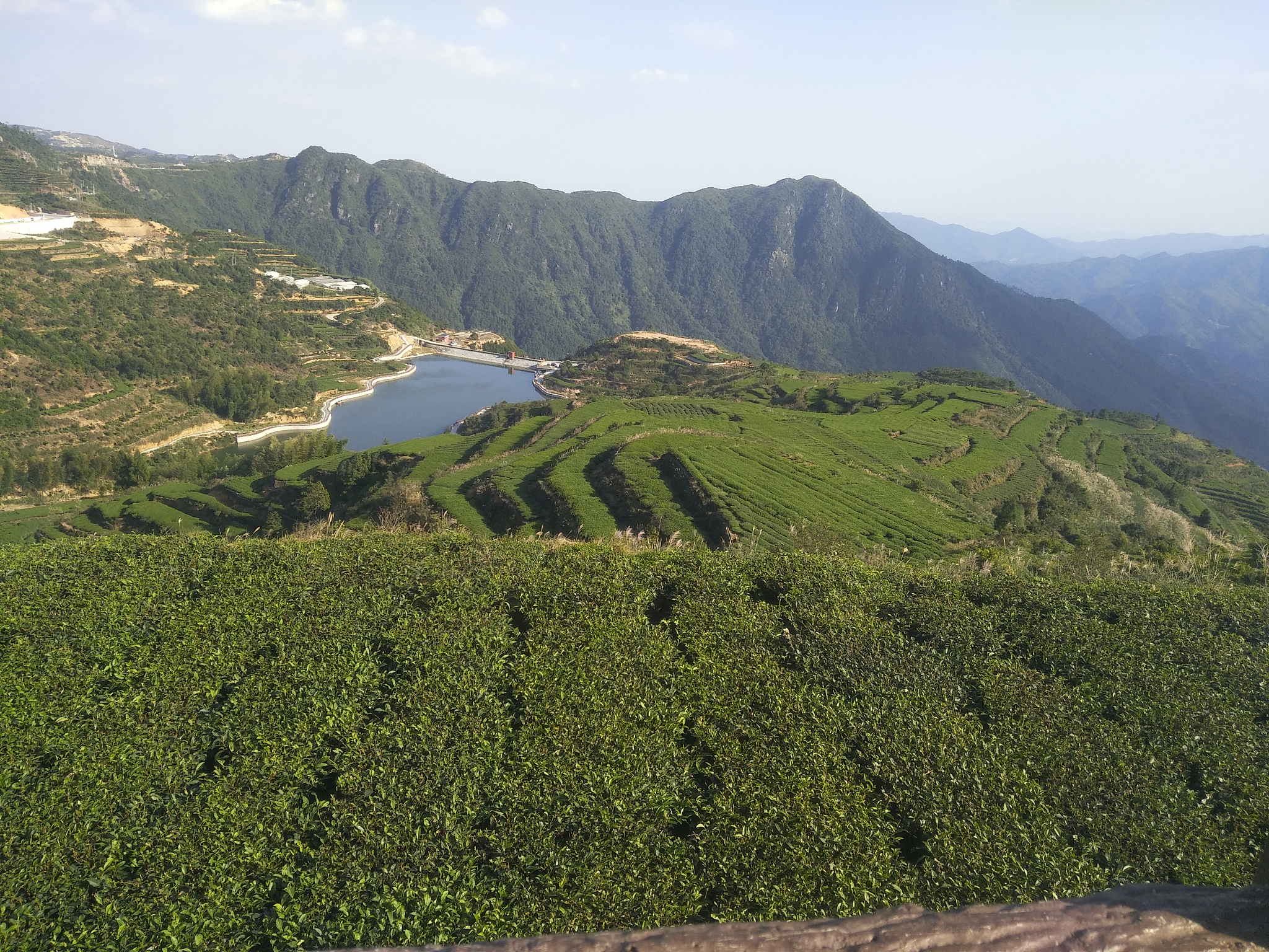 新时代全面深化改革未来展望：中国发展新蓝图