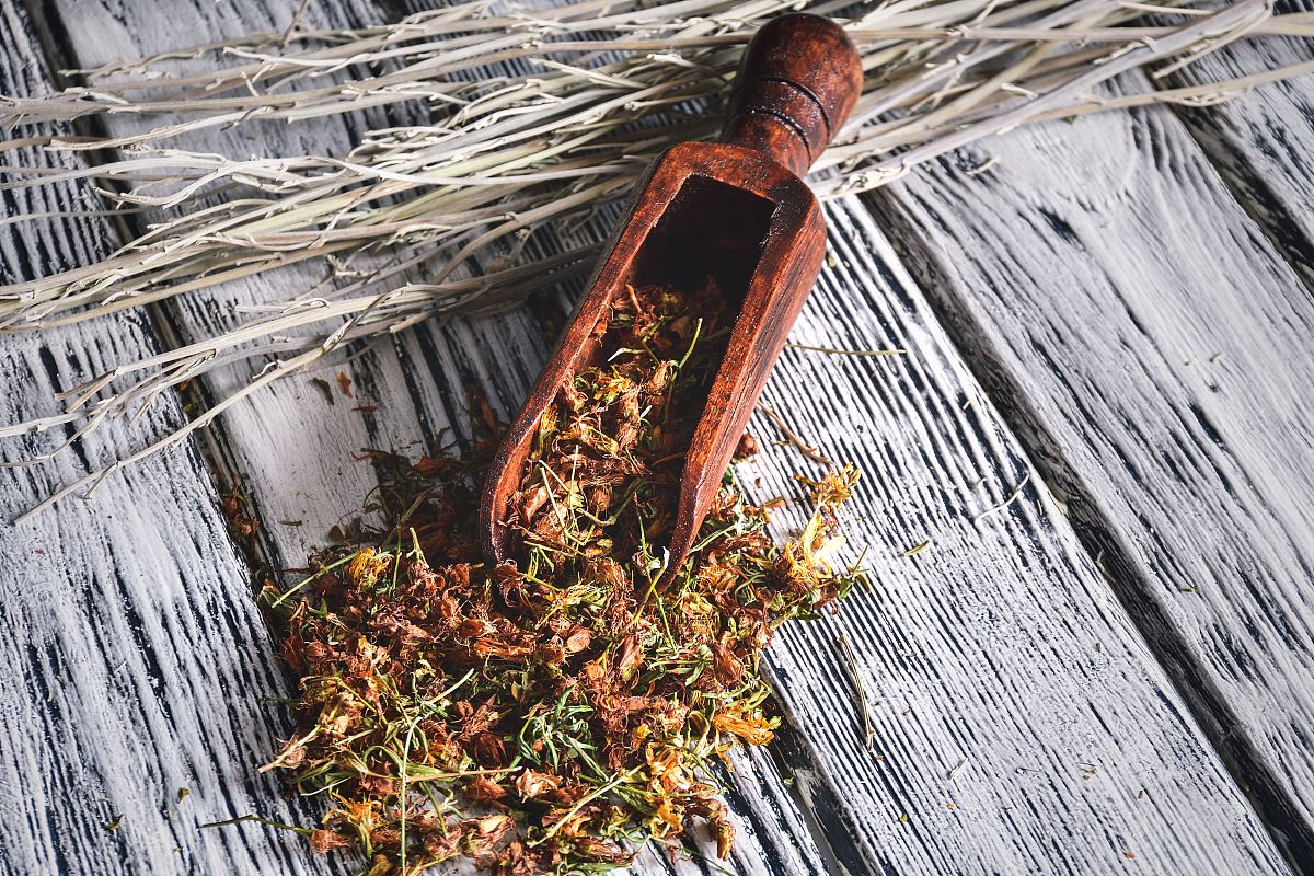 竹根泡酒的功效与作用，