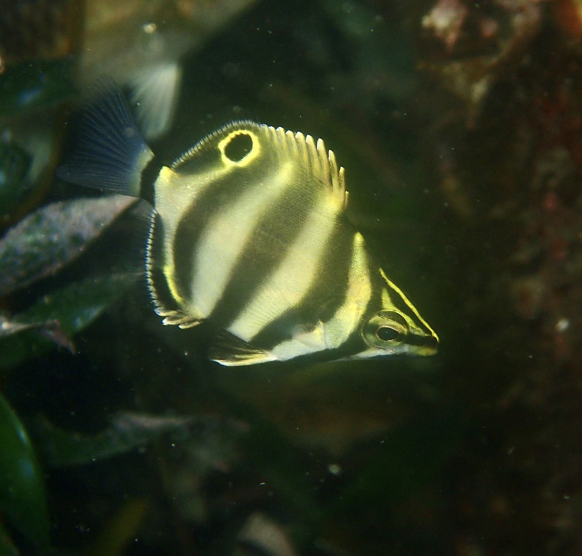 共青团知识选择题：测试你对共青团的了解程度