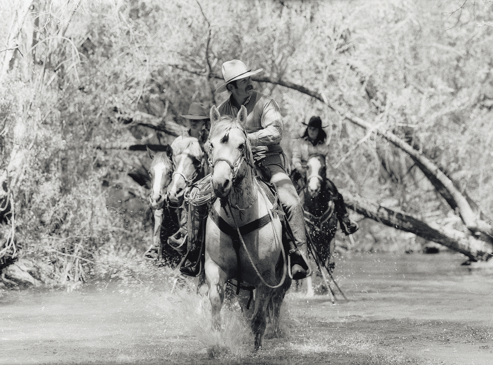 trail riding party crossing river