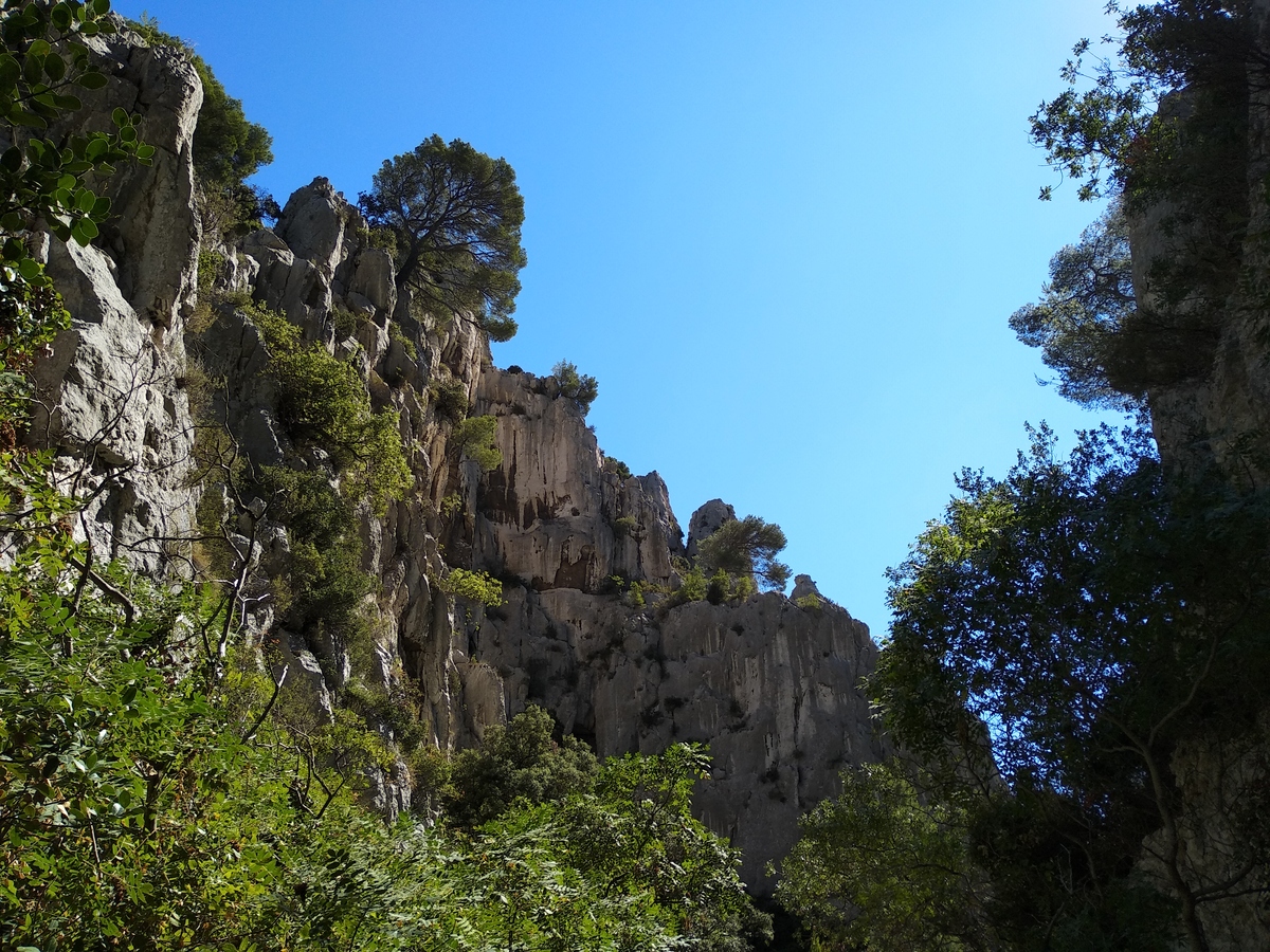 桂林野石头山穿山&鹦鹉山：登高望远，体验自然魅力