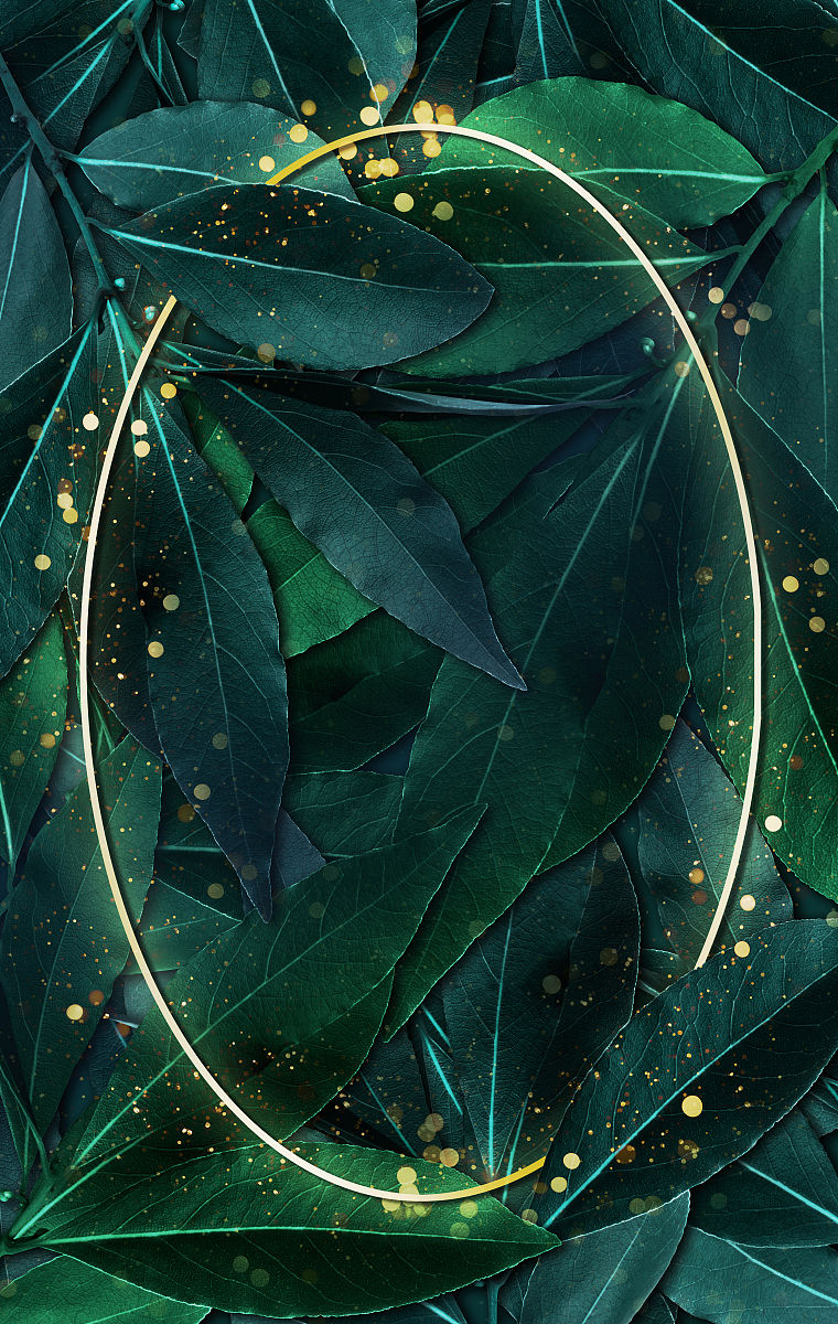 简述开题以来所做的具体工作和取得的进展或成果应该怎么写