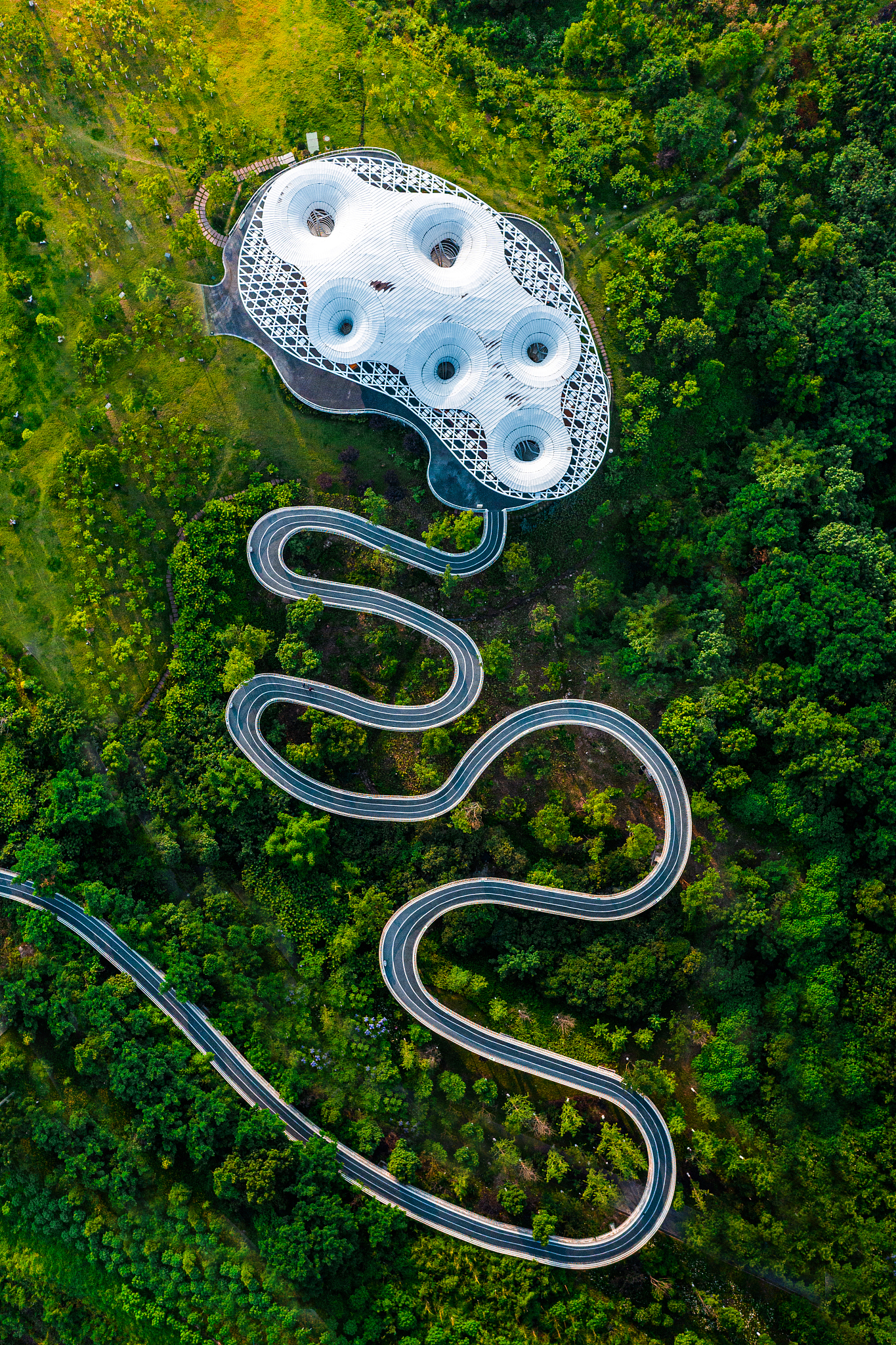 什么造成了生命