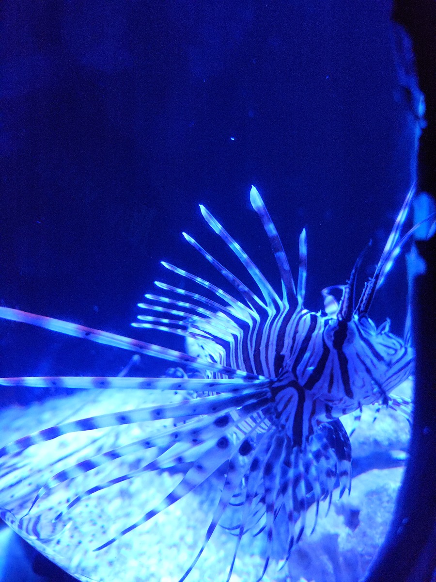 总结一下论文Distinguish seabed objects utilizing different marine acoustictechniques q