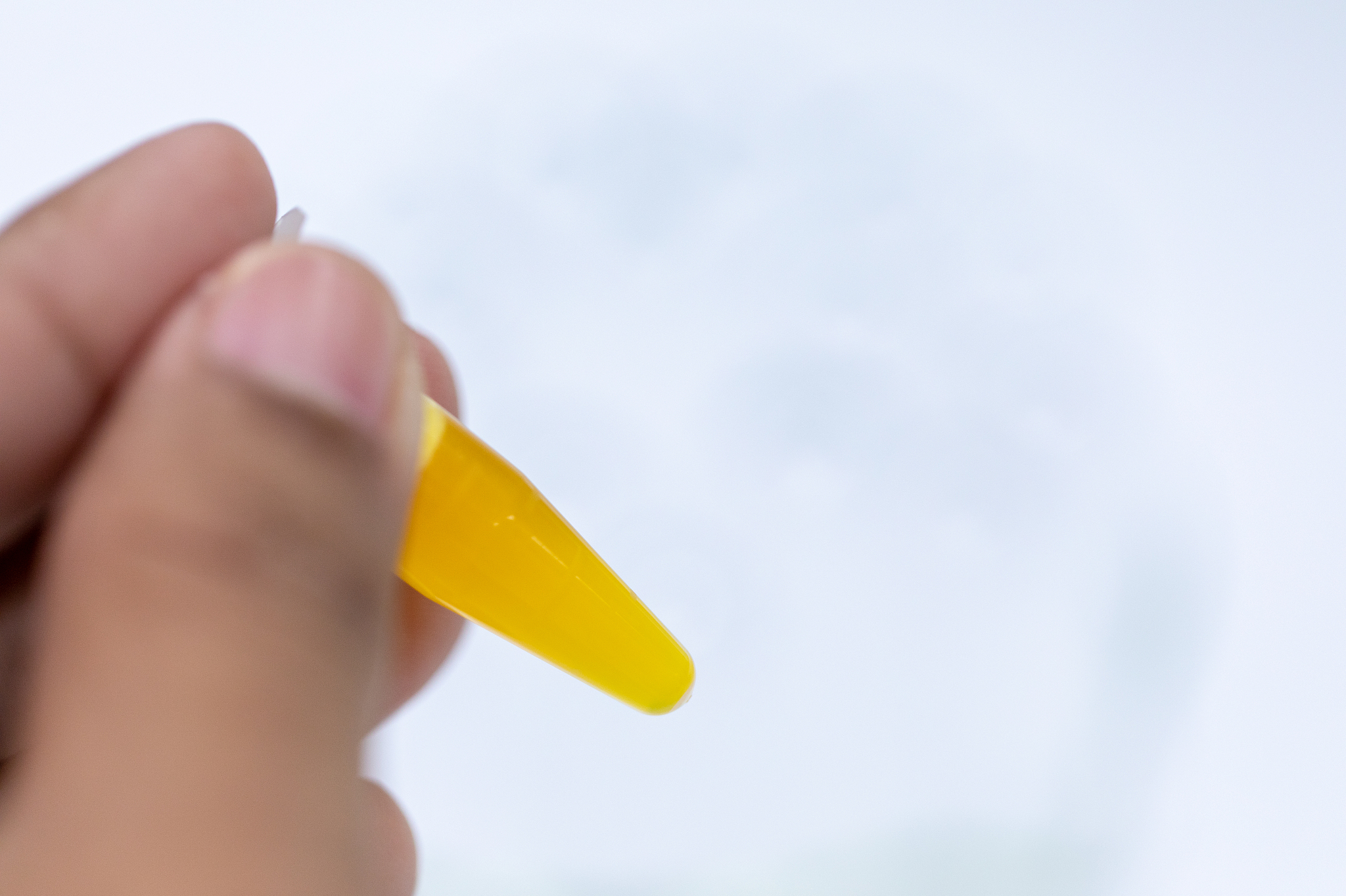 蛋白质显色反应实验指南：8个关键注意事项