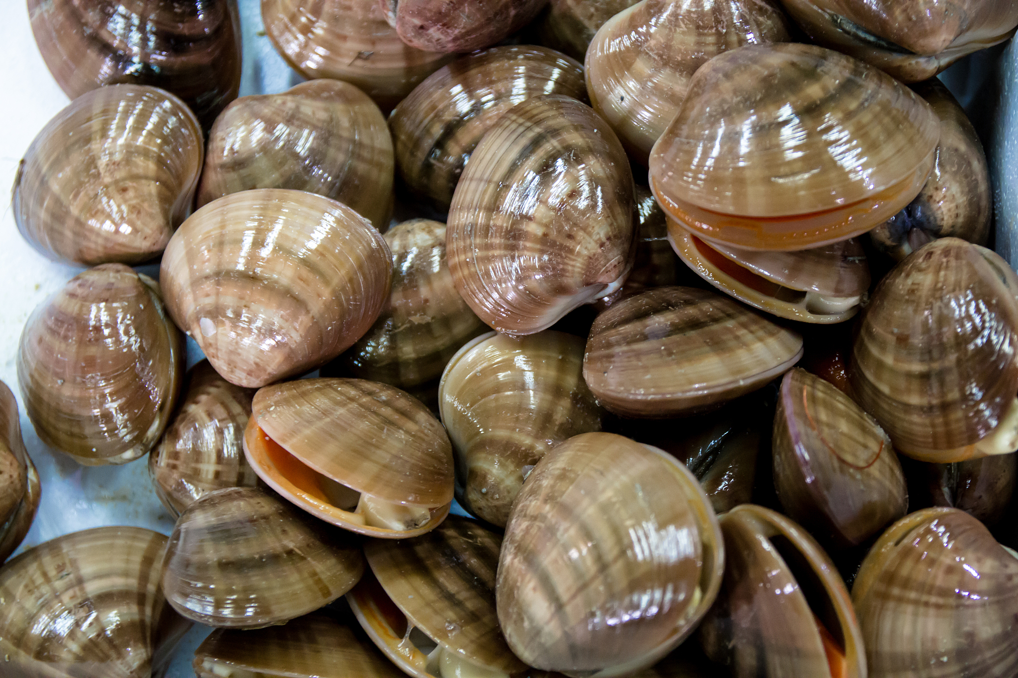 请以开着ID6crozz去天津吃海鲜为题写一篇500字游记