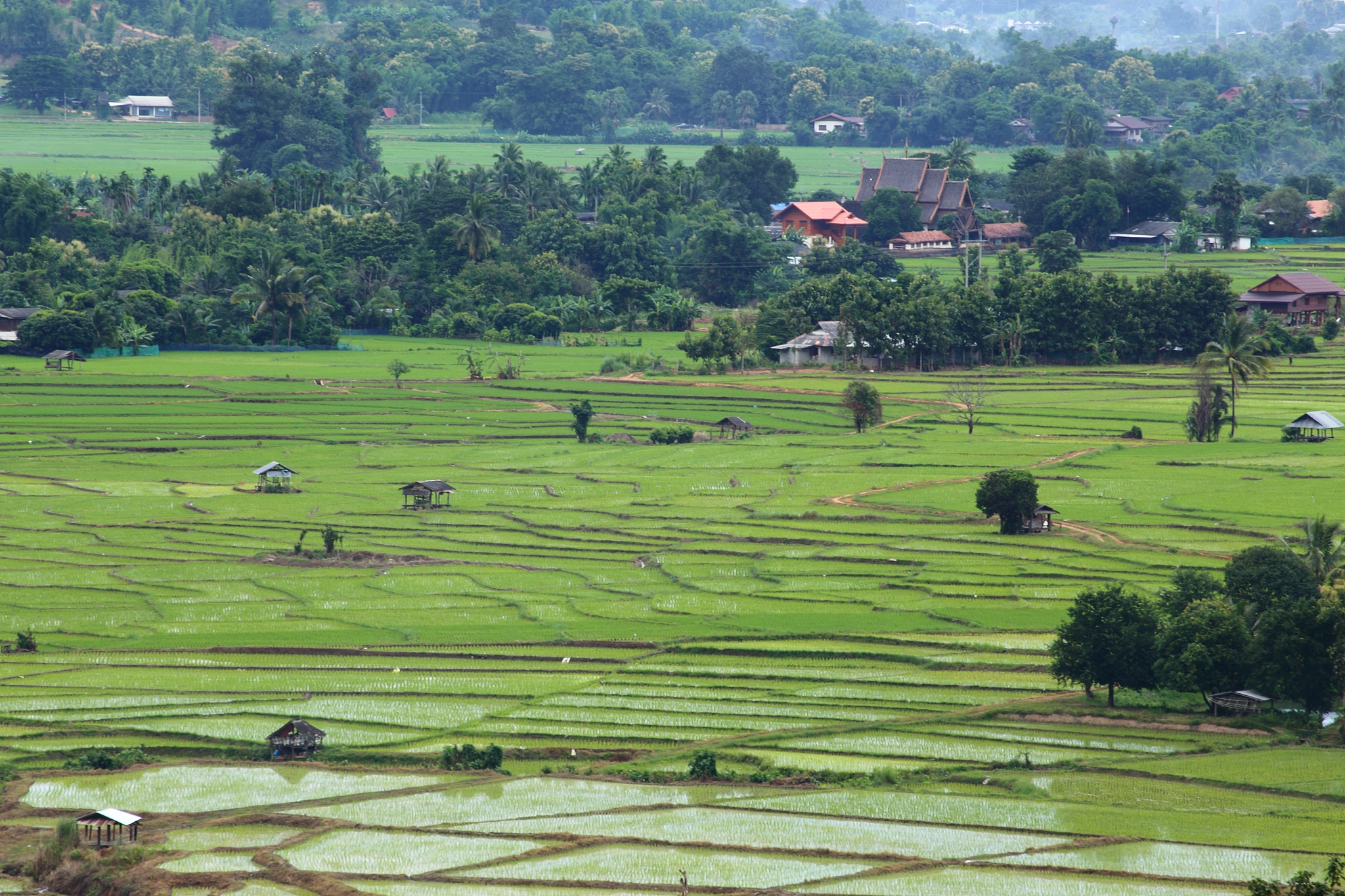 你知道老挝甘蒙省钾肥行业吗