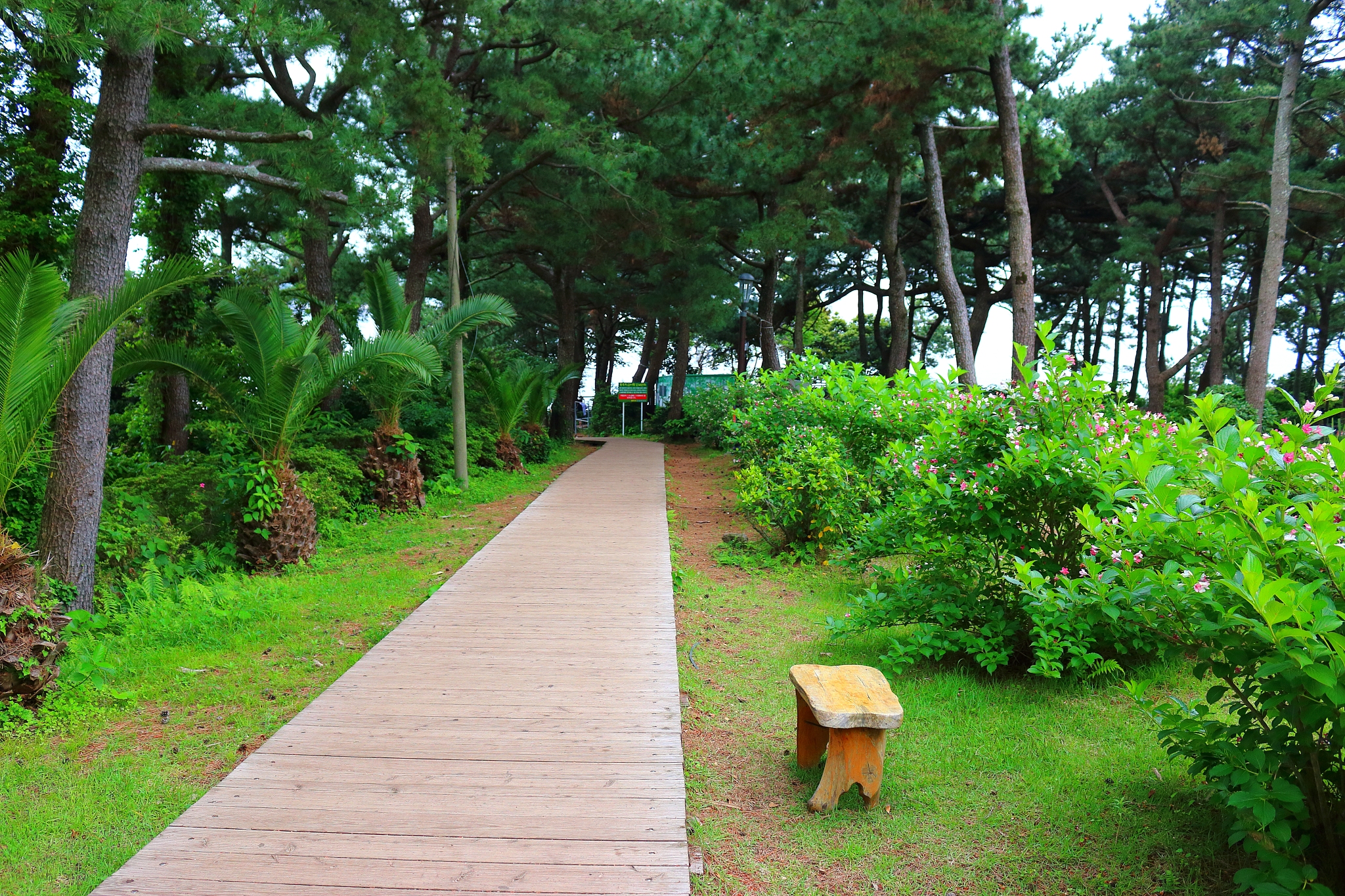 coast, beach, coast, sea