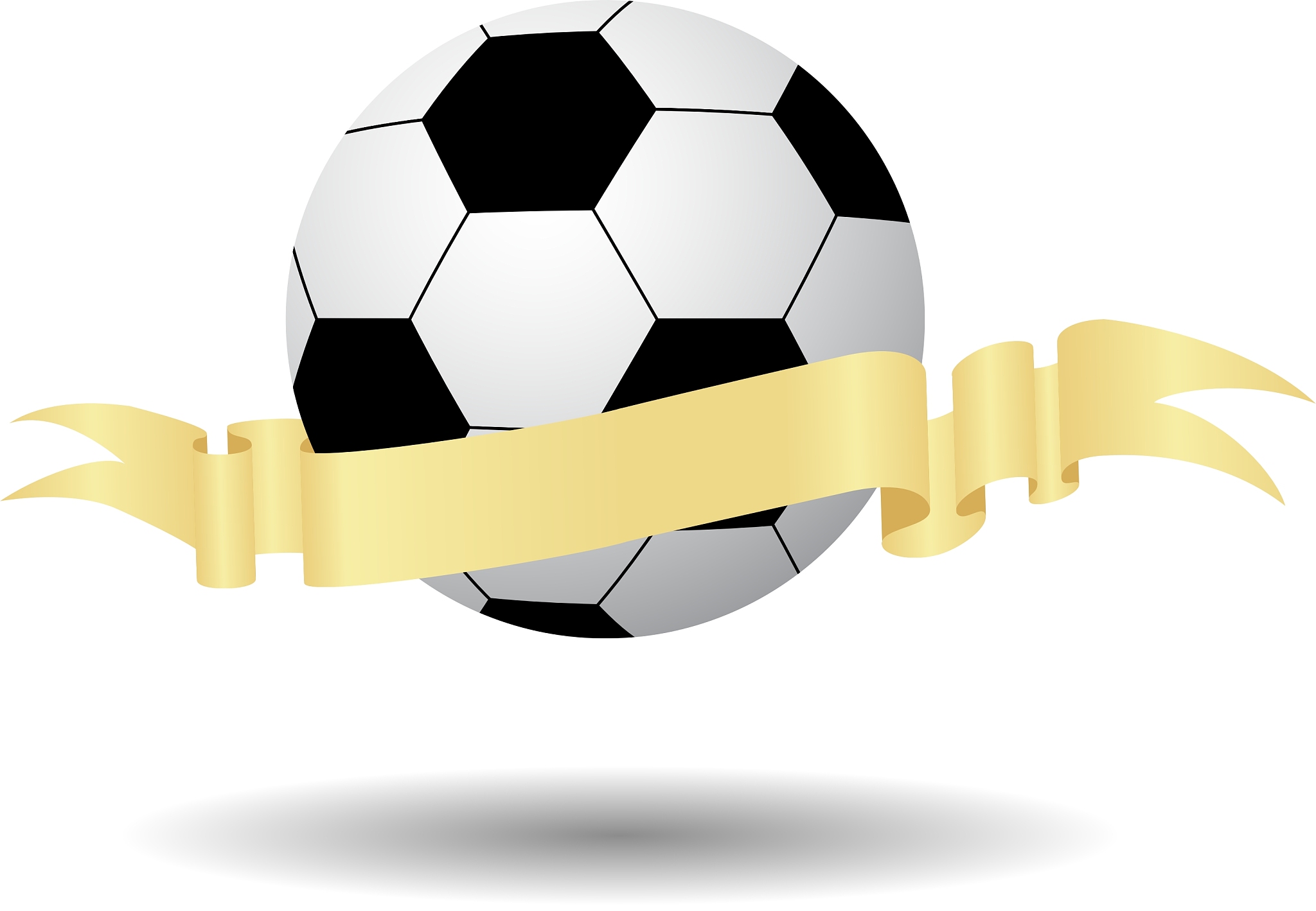 soccer ball icon