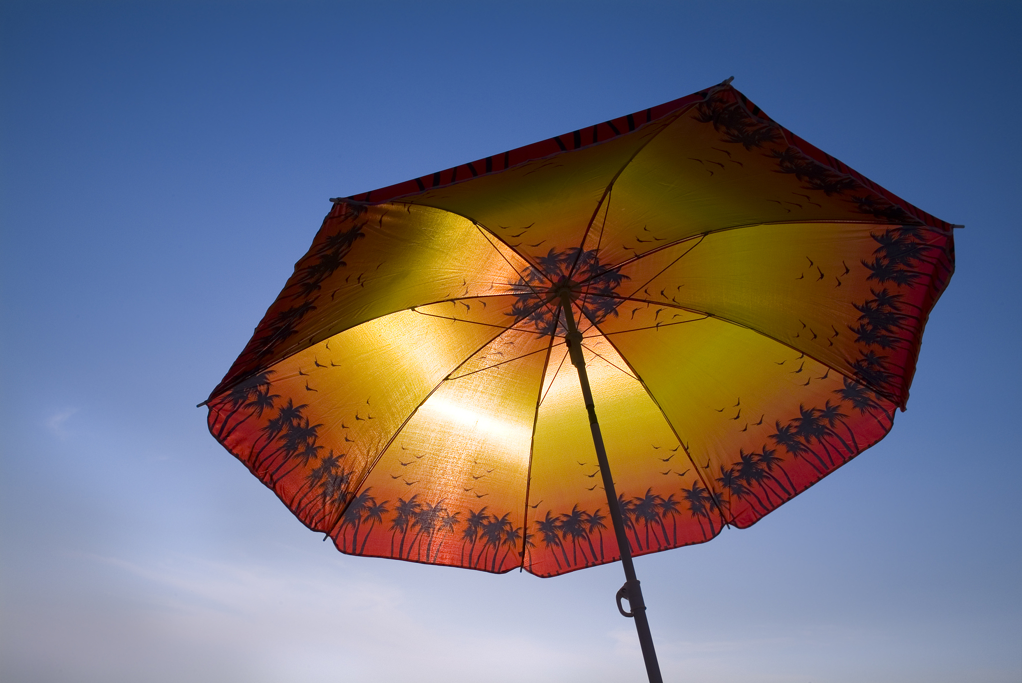 beach umbrella