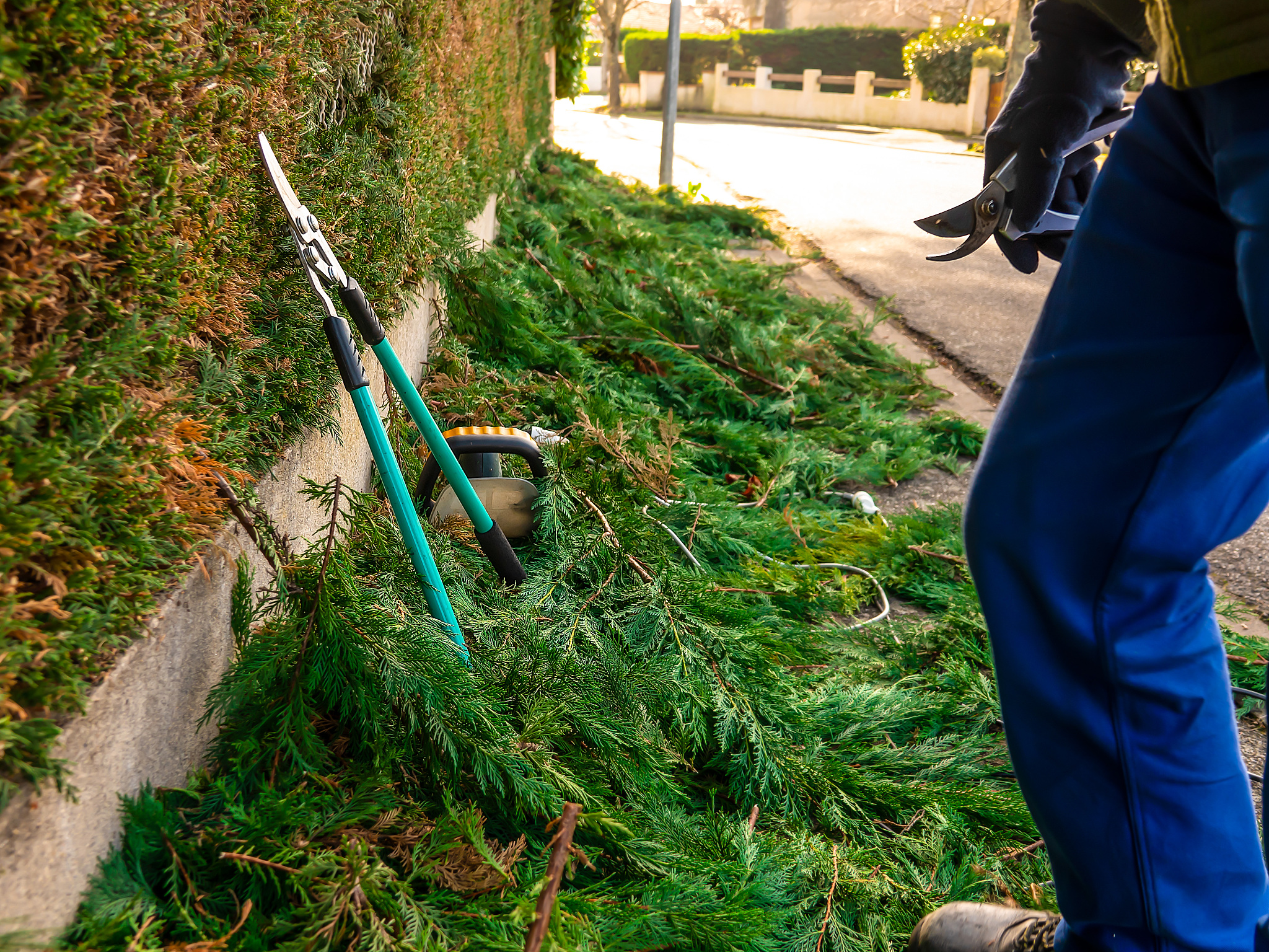 西安市园林技工学校2019年招生简章