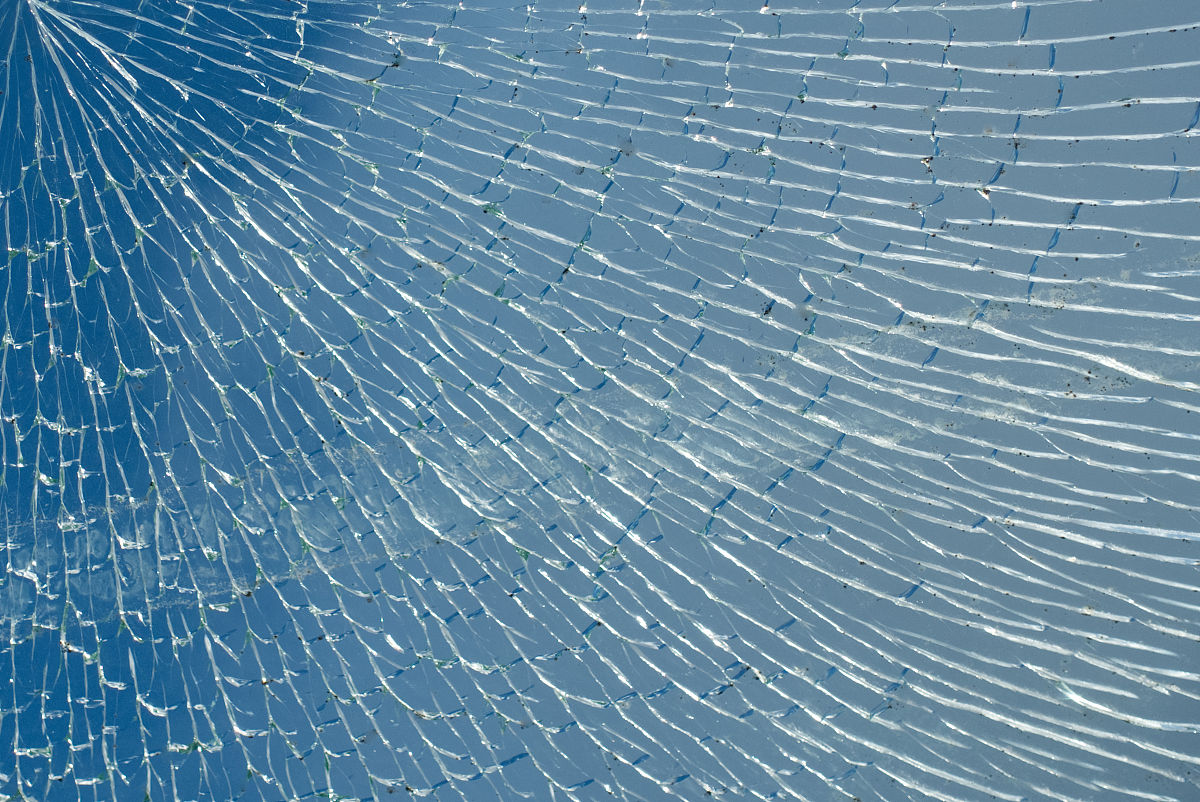 湖北中医药大学市场营销专业