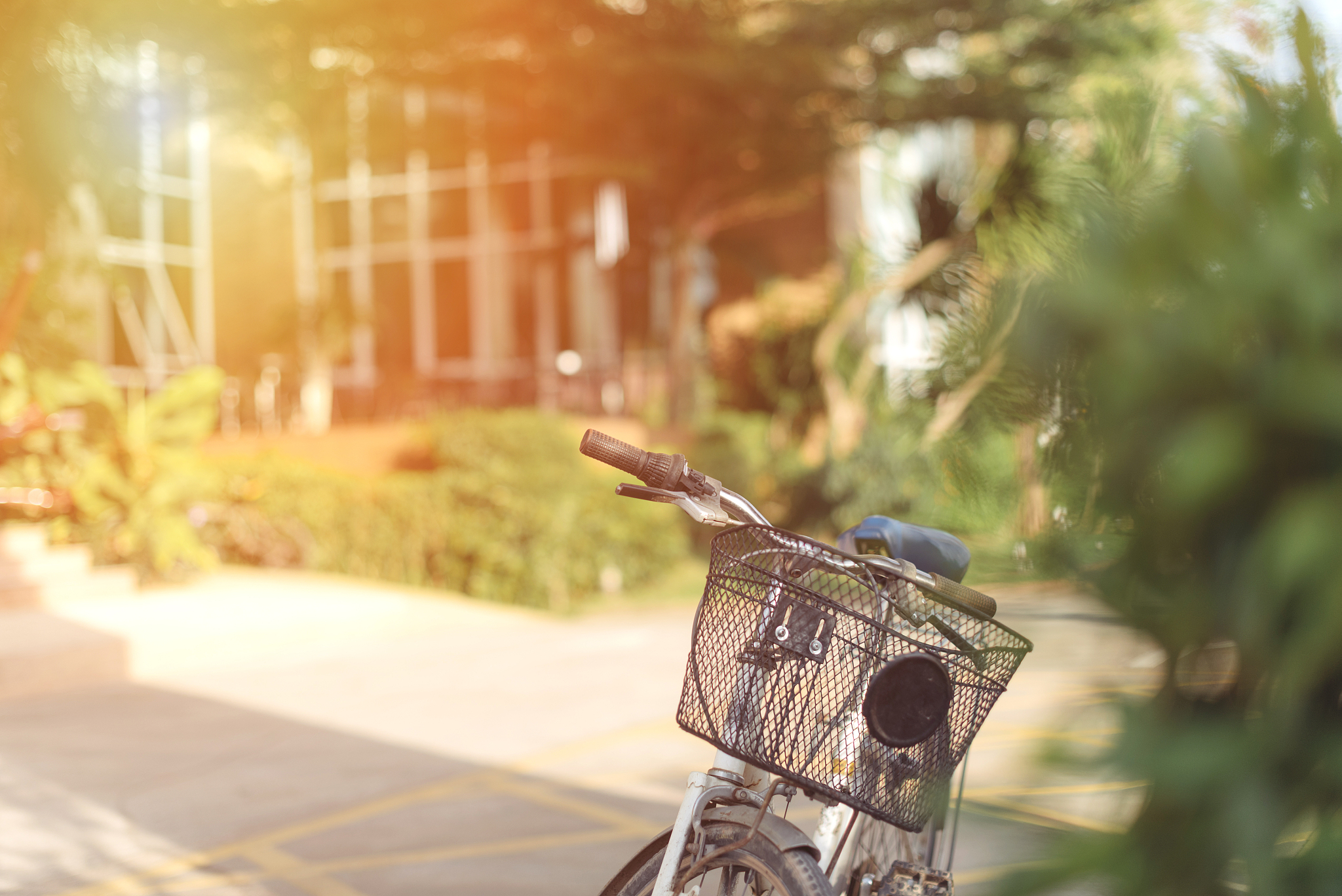 温柔岁月：回忆中的美好时光