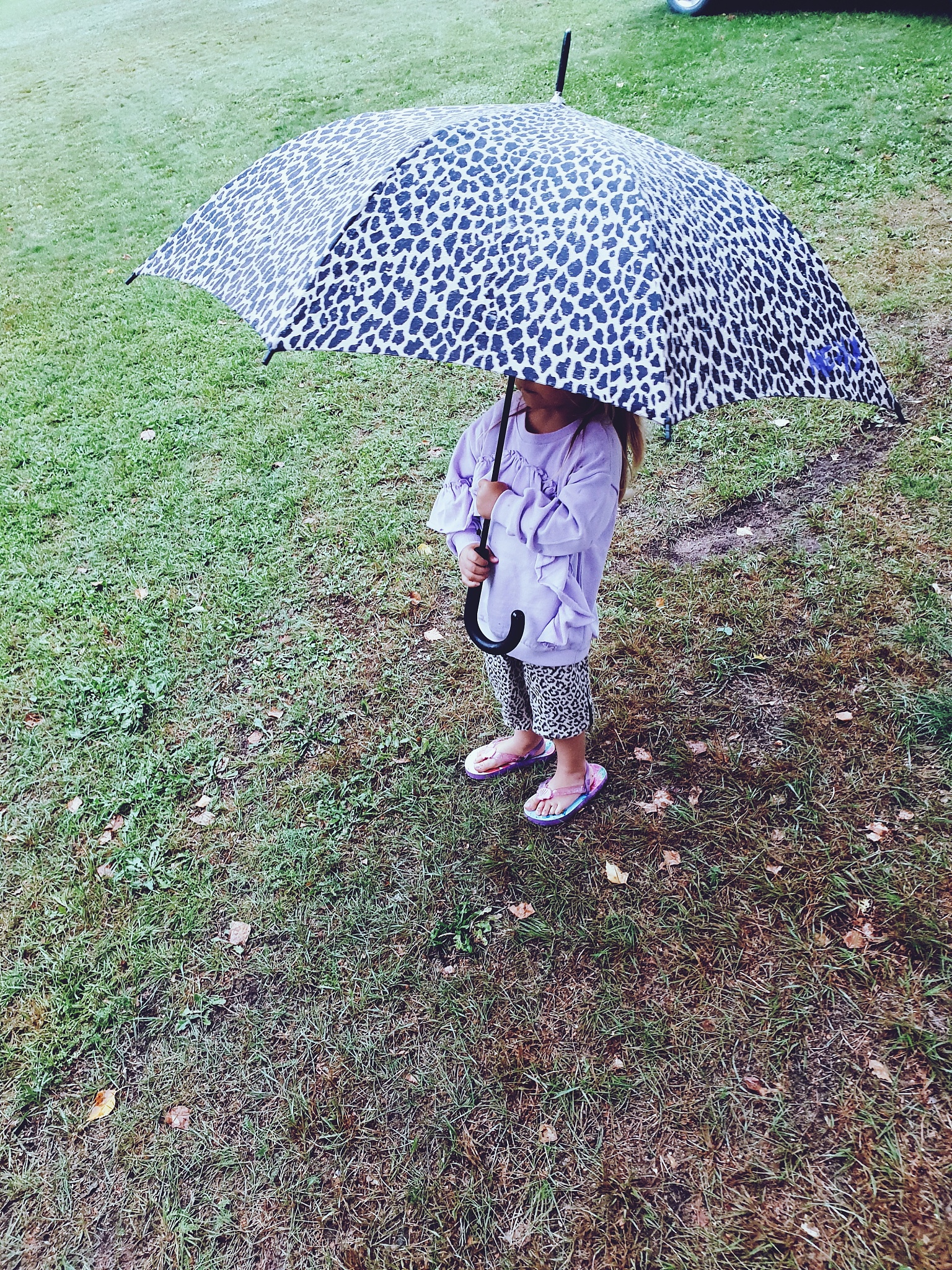 在广阔的草原上一个可爱的女孩在雨中拿着伞探索奔跑 翻译英文