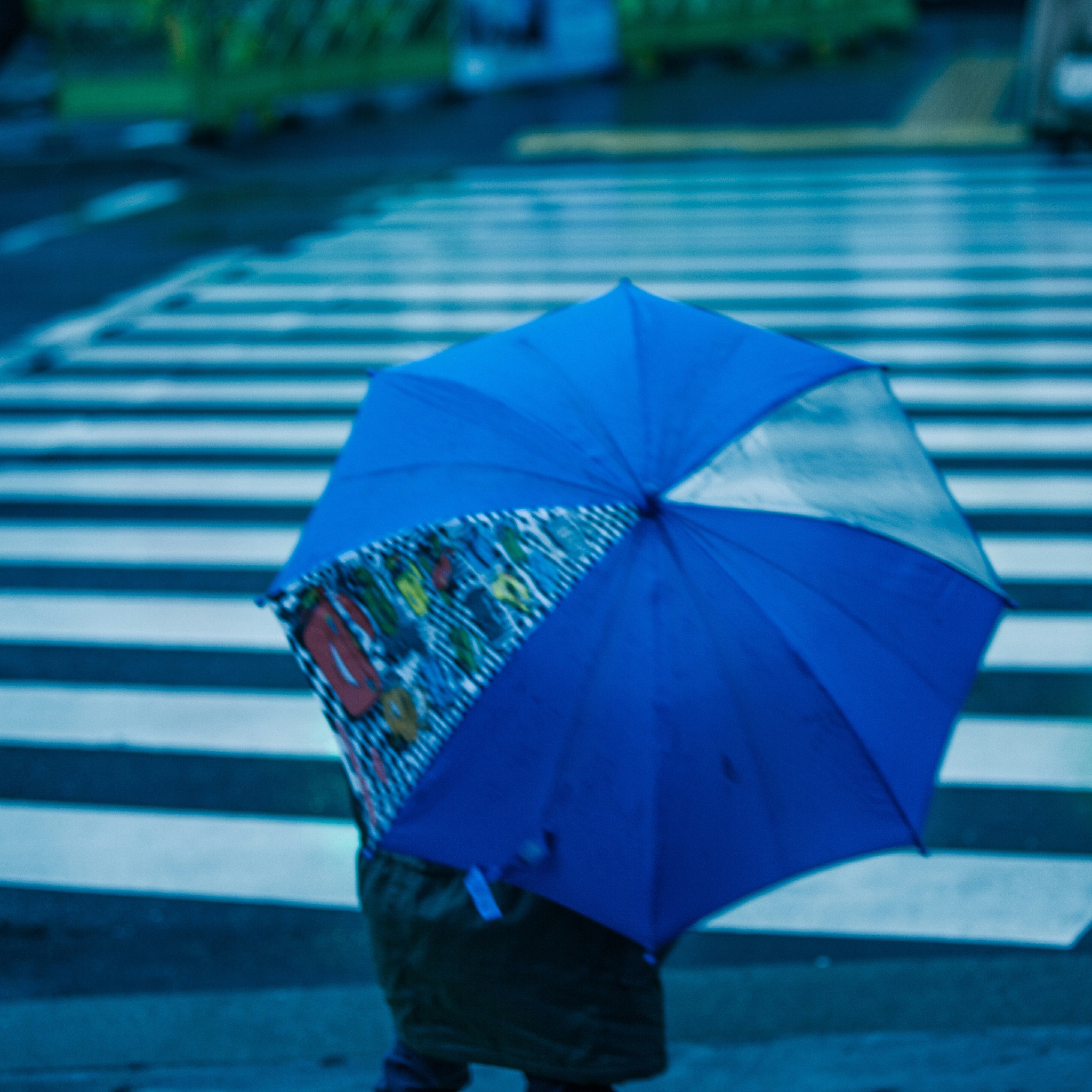 person with umbrella on zebra crossing in city
