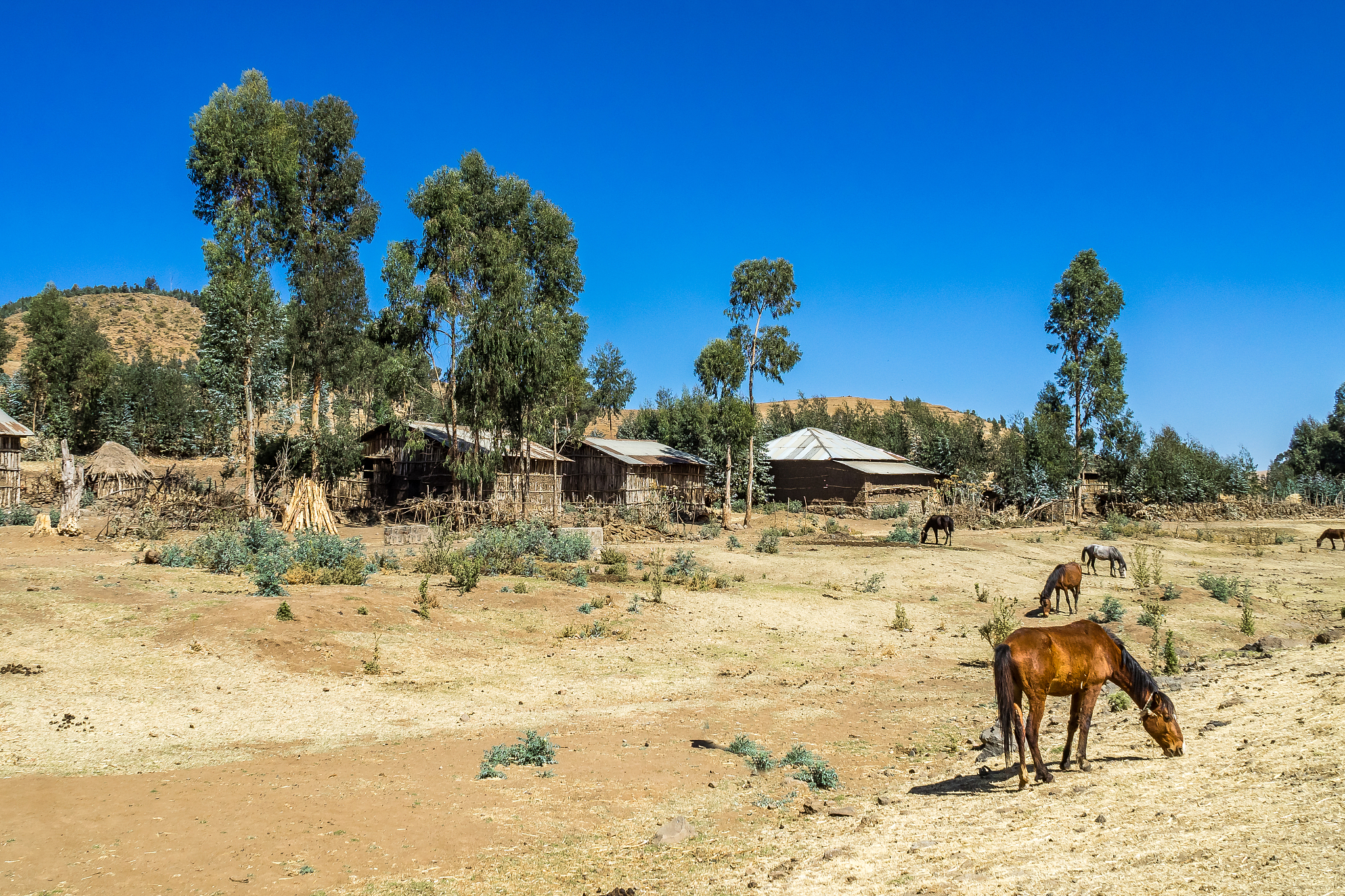 a little village in the simien mountains in northern ethiopia