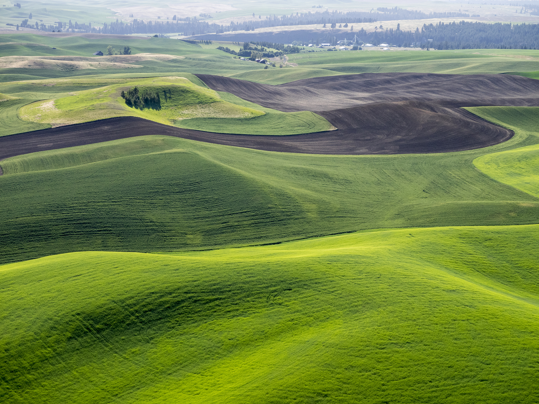 aerial photography in the palouse region of eastern washington