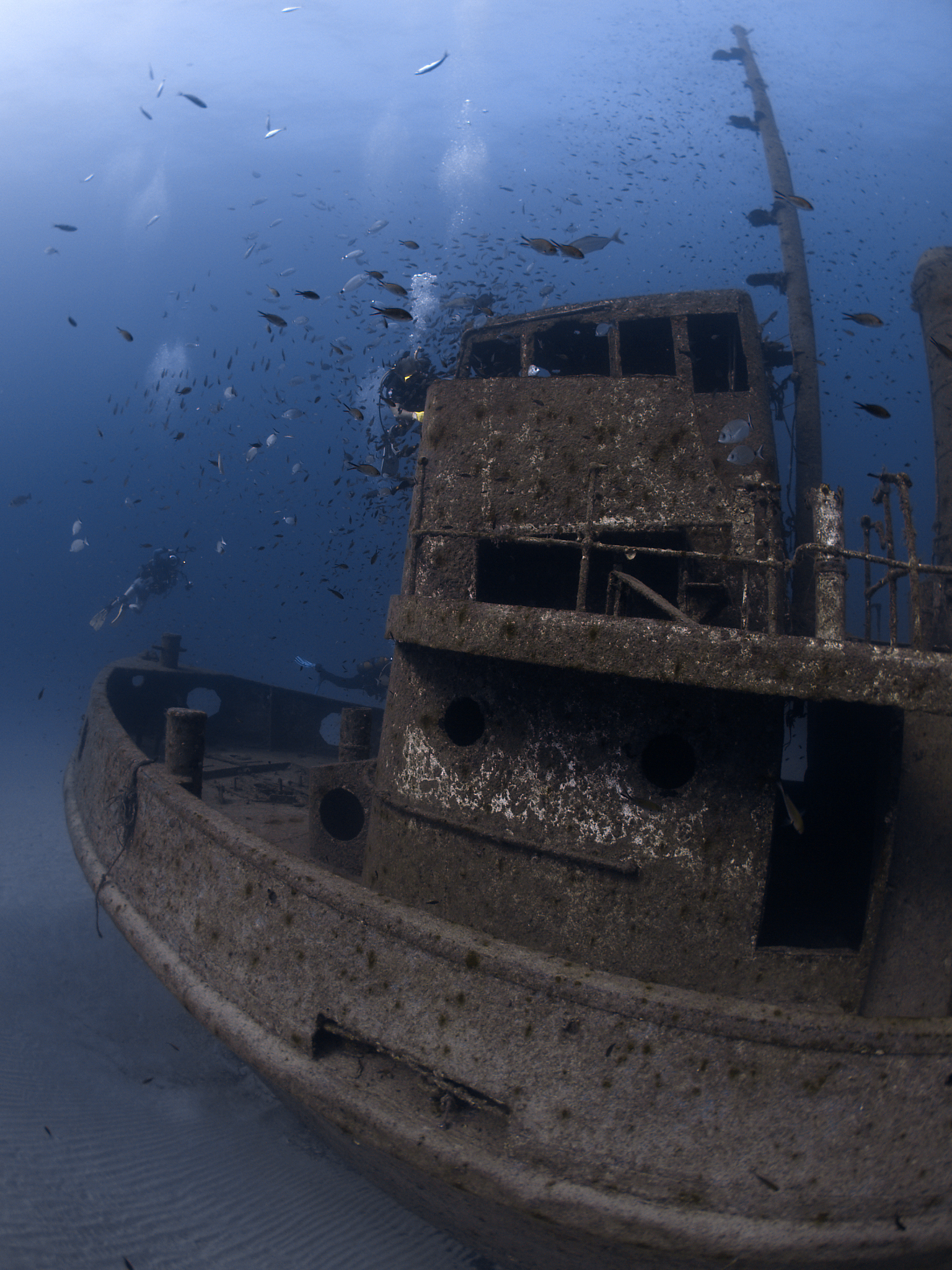 scuba divers investigating the wheelhouse