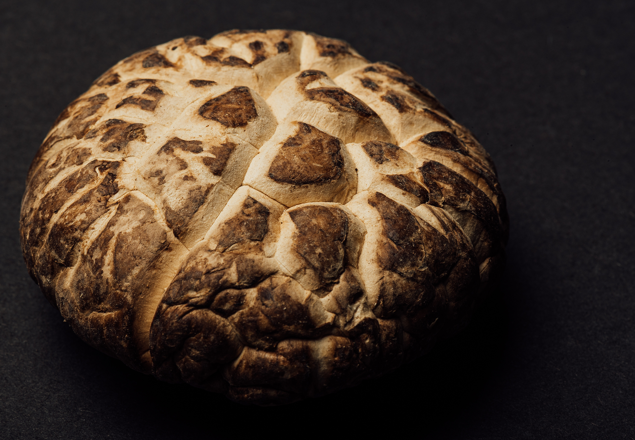 智泉童星®食用菌冲饮粉Ⅲ：提升免疫力，改善消化不良等5大功效