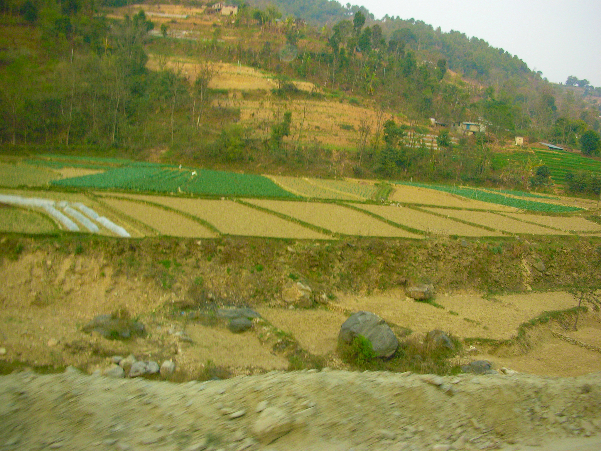 云贵高原盆地为什么可以发展农业