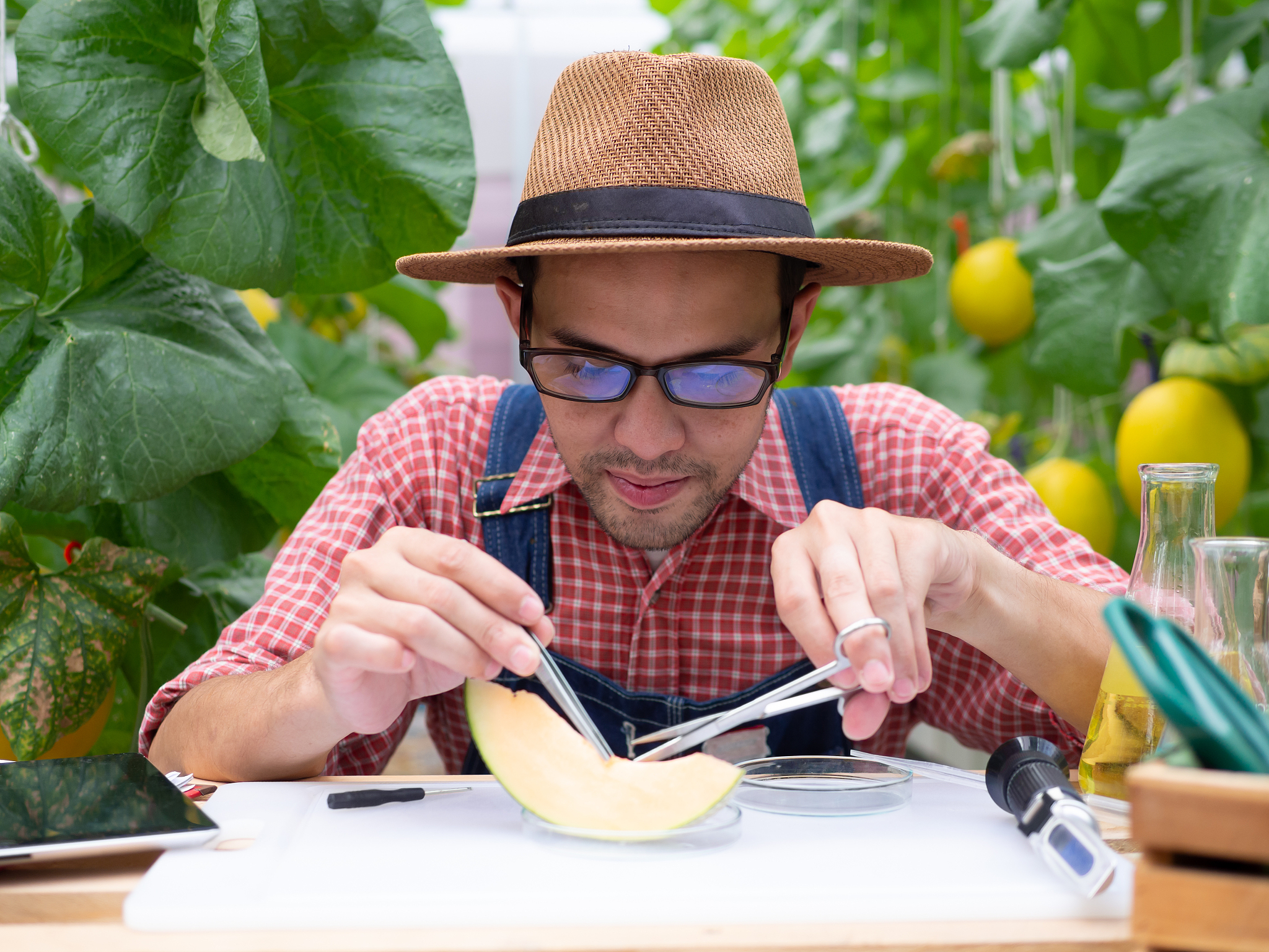 World's Poultry Science Journal: 国际家禽科学权威期刊