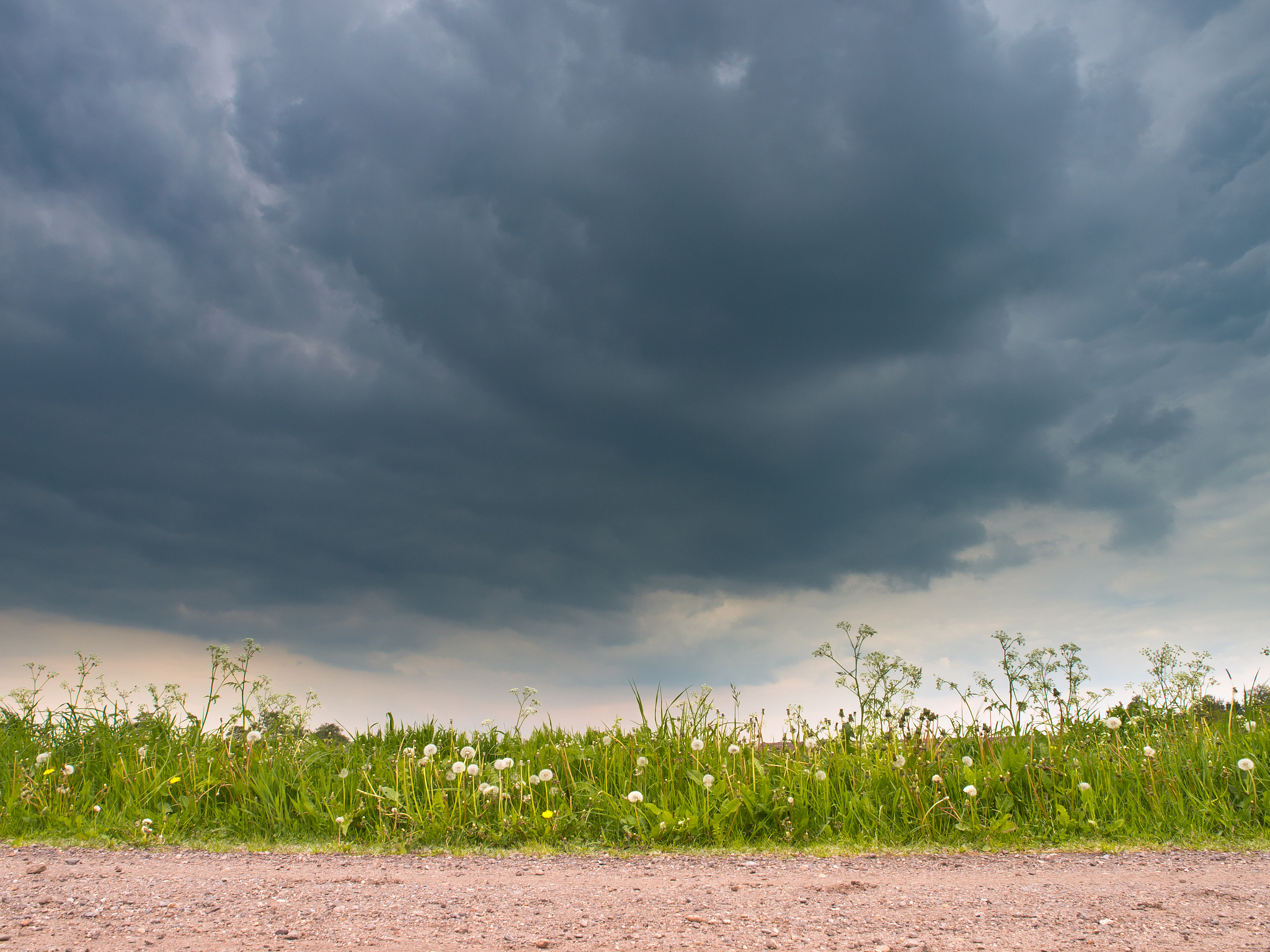 阵雨的情景是什么样子的