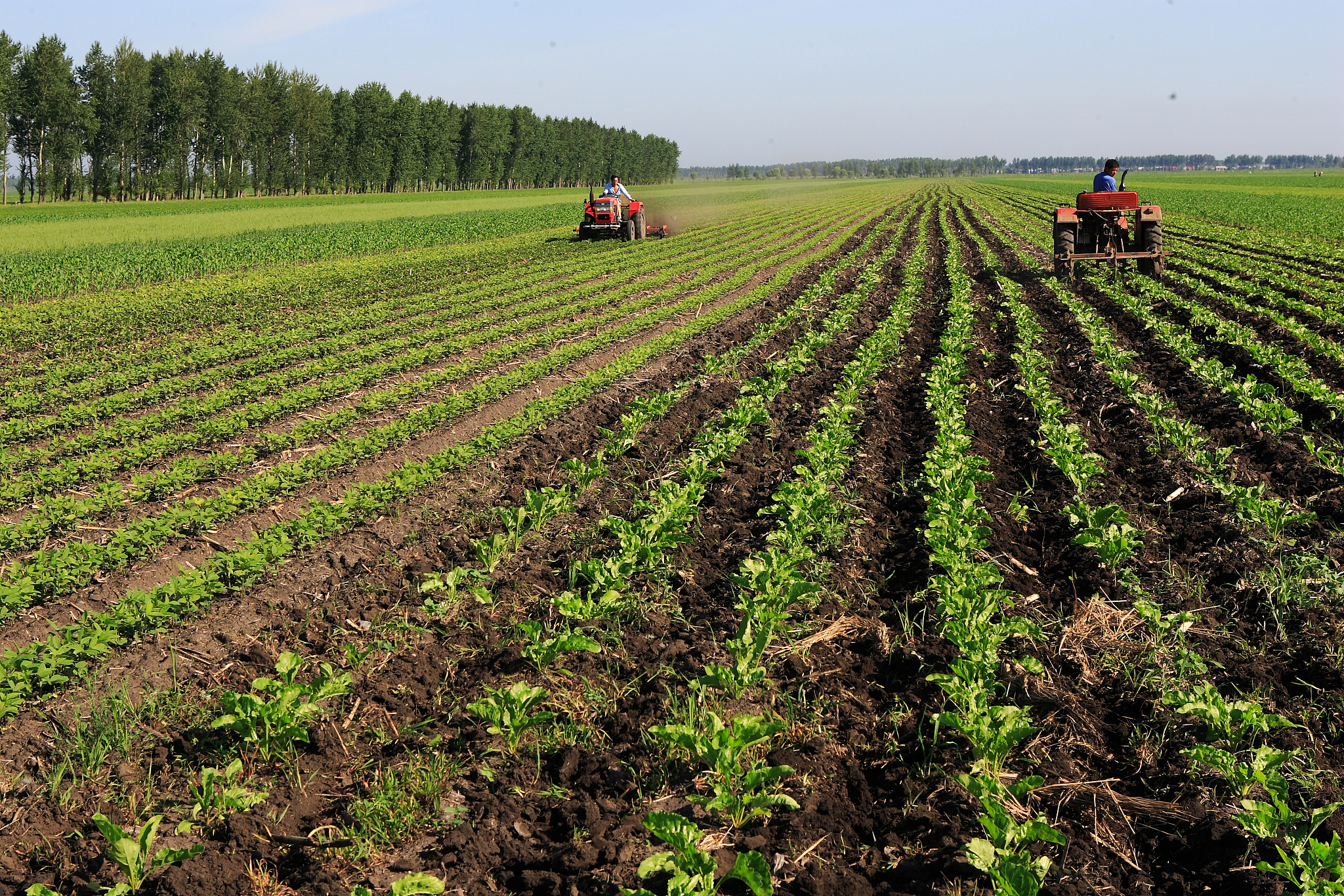 黑龙江农垦职业学院种子生产与经营专业就业前景分析