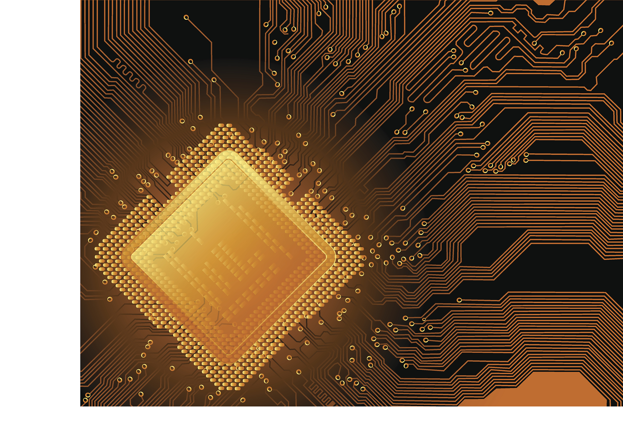 威海信息工程学校2019年招生专业有哪些？