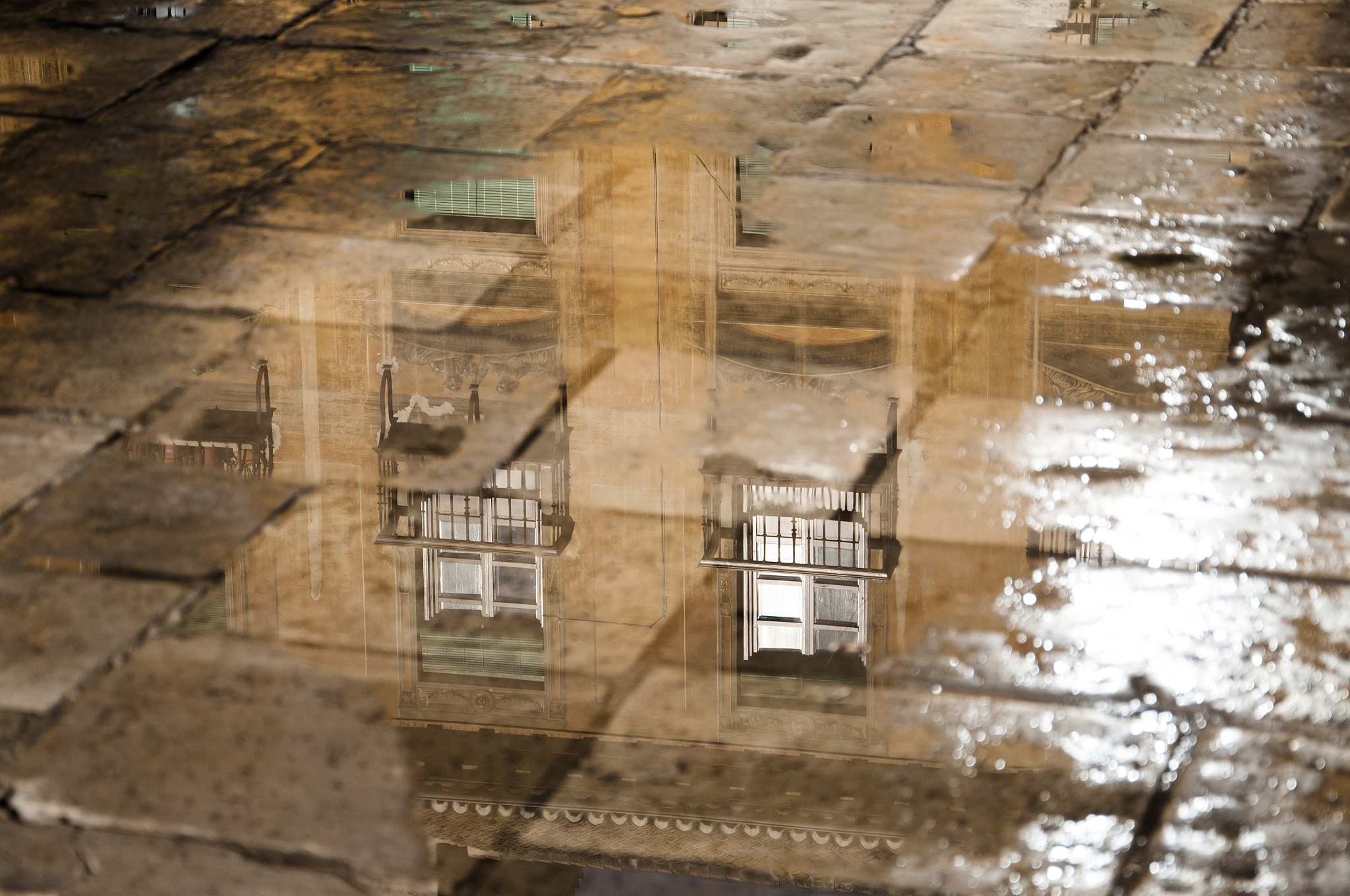 reflecting windows