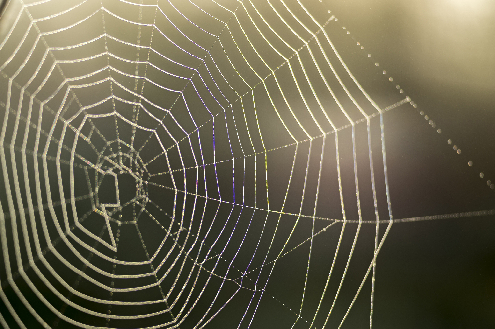 邢台理疗养生知识学习指南：专业机构、线上课程、社交活动