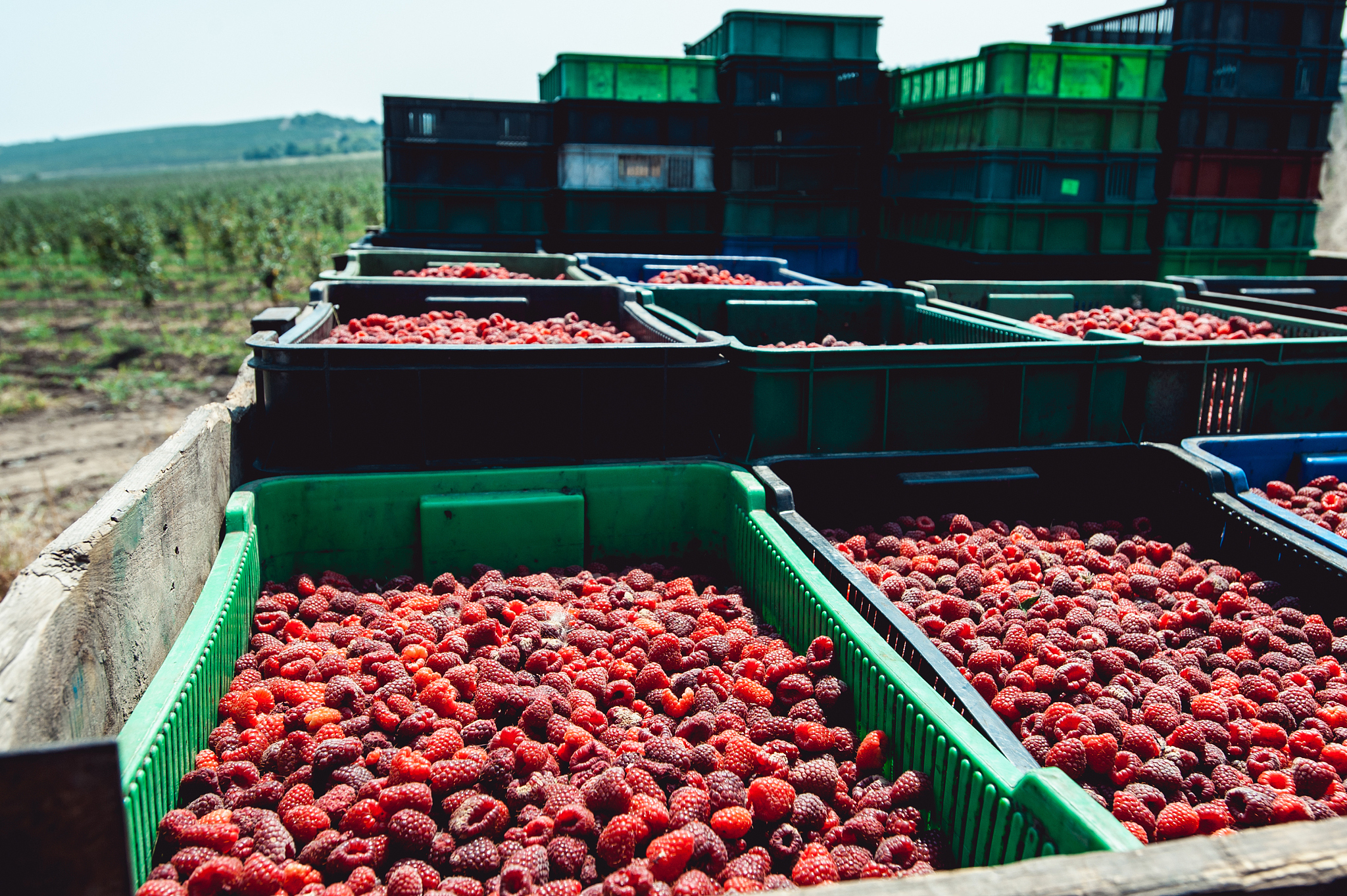 上海工会管理职业学院食品营养与检测专业怎么样？毕业生就业前景分析
