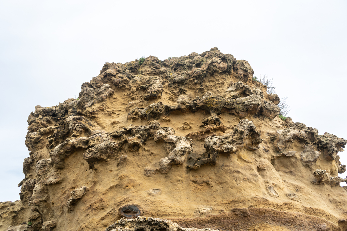 风化作用在土壤形成中的作用