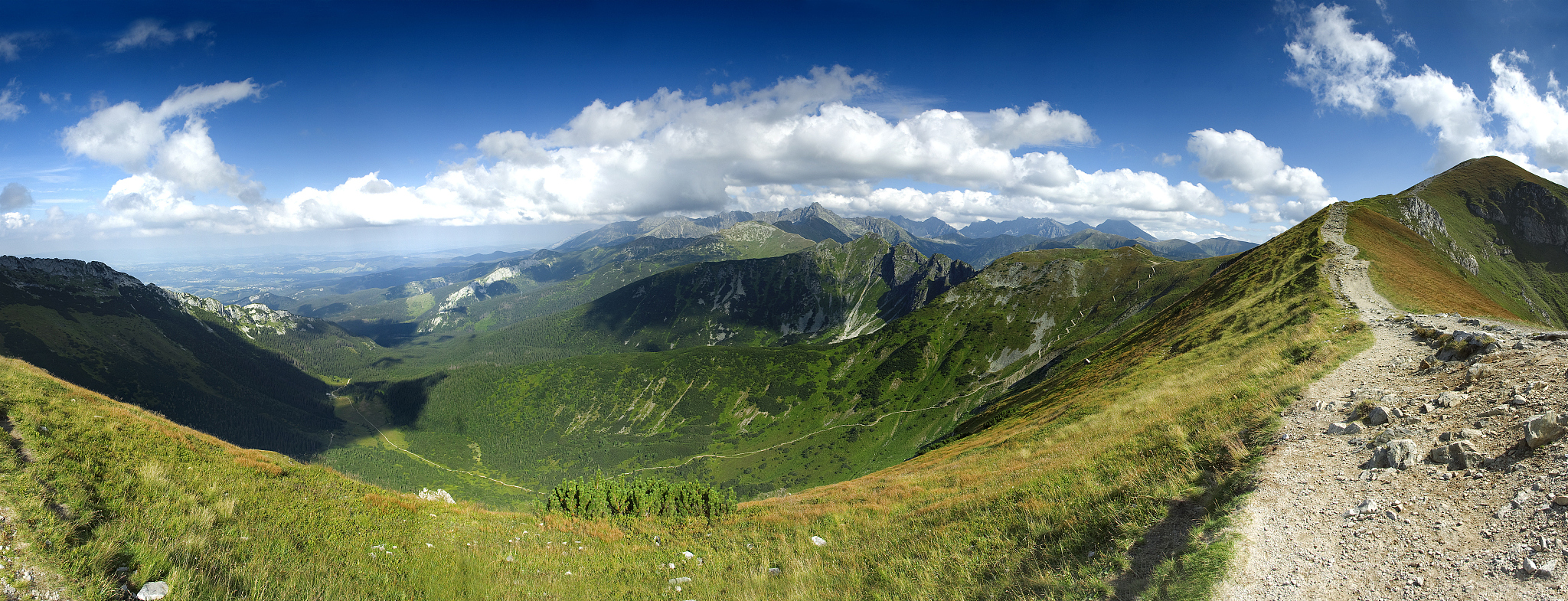 summer mountains
