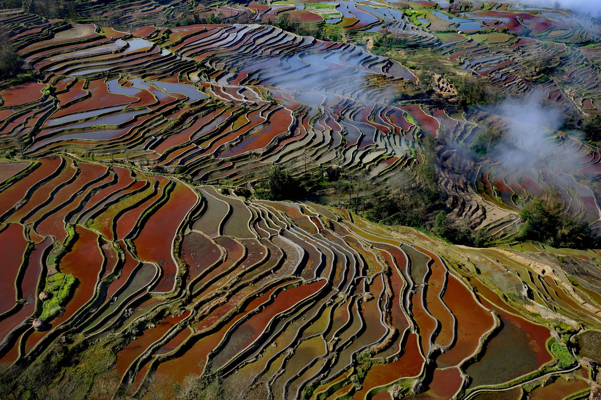 以《五一自驾游走进云雾缭绕的秘境！》为文章标题写一篇一千字左右的文章要求文章条理清晰要求内容尽量丰富且完整要求描写详细且文笔优美要求文章内容引人入胜要求让人有读下去的欲望。