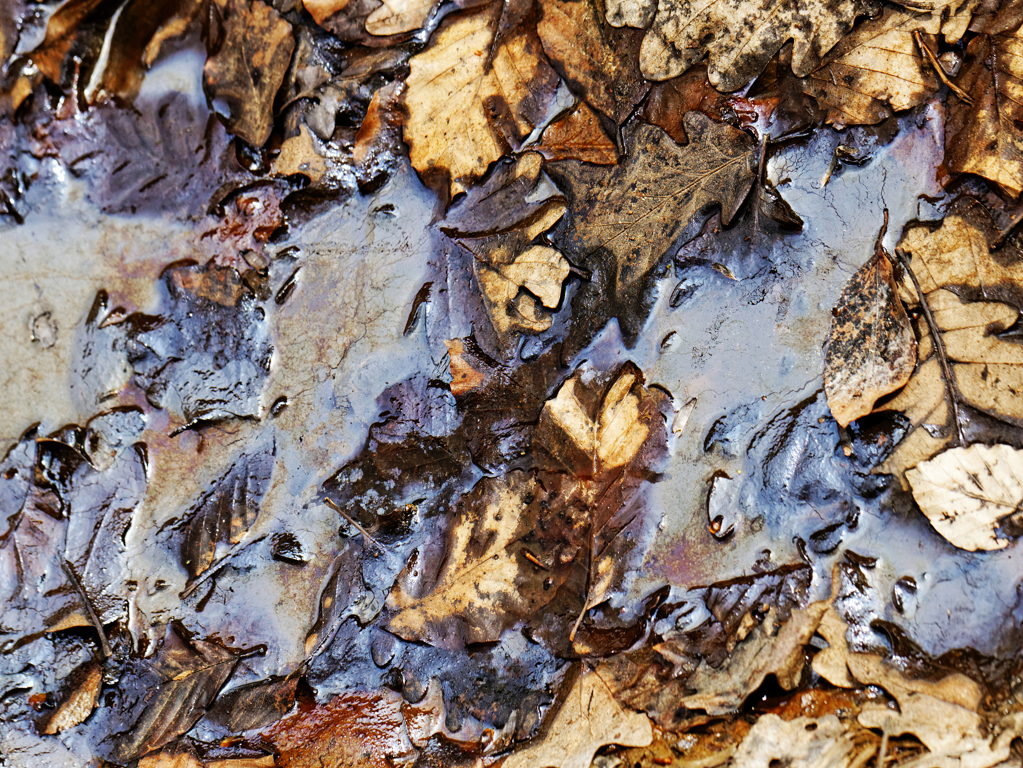 Cleaning Cost Evaluation for September 7th & 8th - Based on Ship Oil Pollution Compensation Fund Guidelines