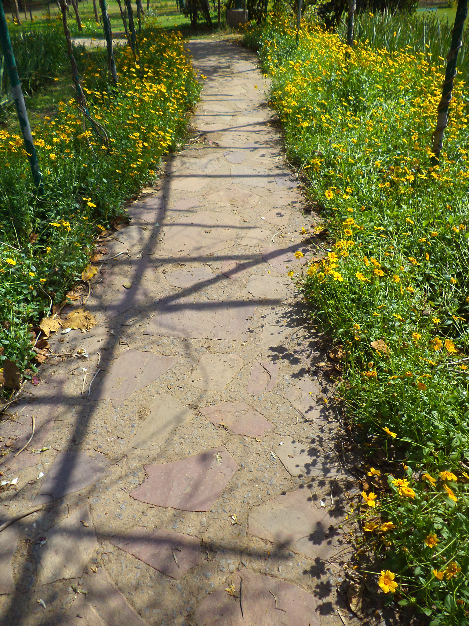 从关心下一代的角度为一条学校小路起个名字？ 十个左右参考名字。