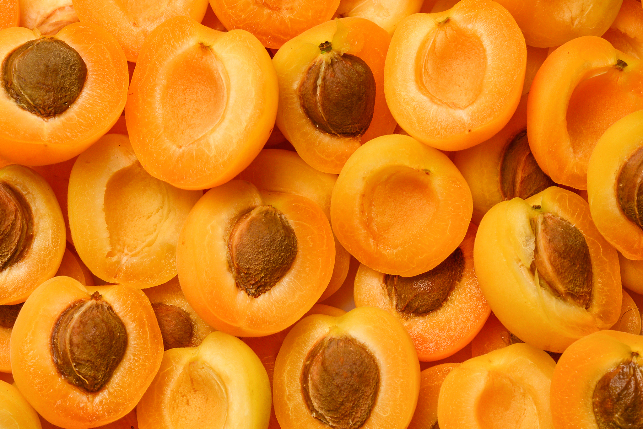 曲靖农业中等学校2019年五年制招生专业设置