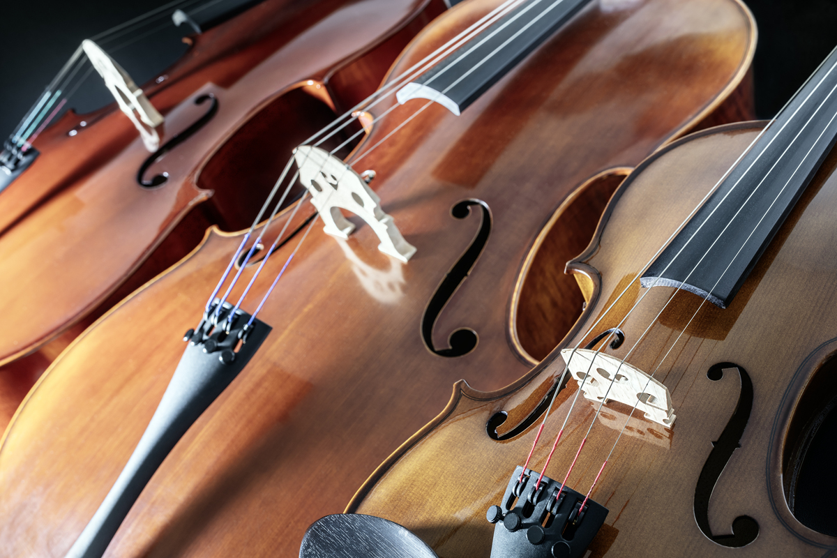 为什么马毛适合做琴弓？