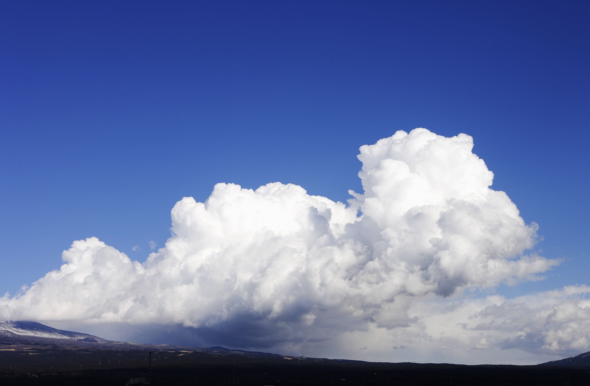 爱丽丝与大自然的宁静时刻：感受自然的治愈力量