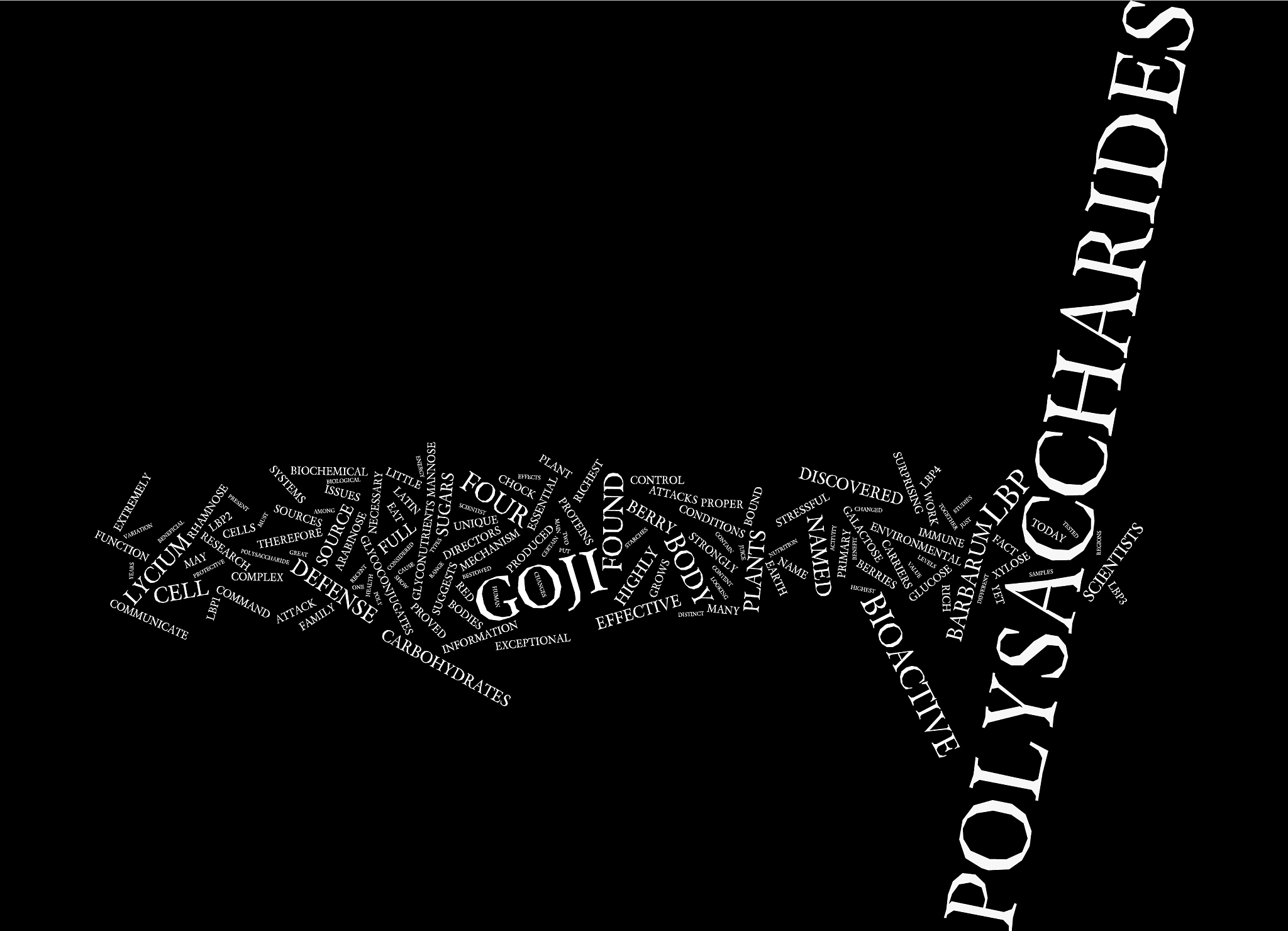 goji and polysaccharides text background word