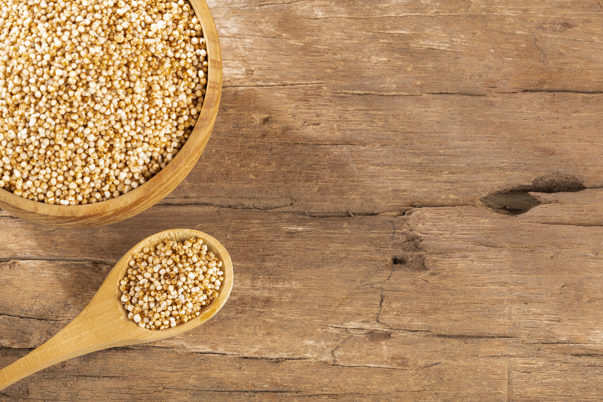 花粉发育需要哪些营养物质？ - 详解植物繁殖关键环节