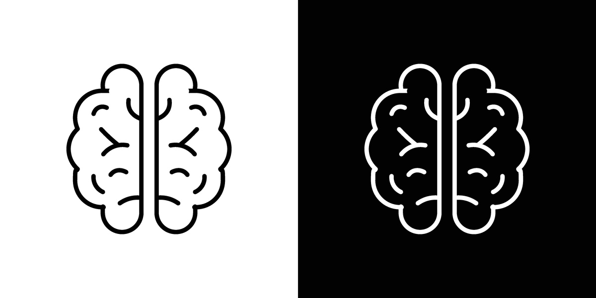 人类: 起源、特征与文化