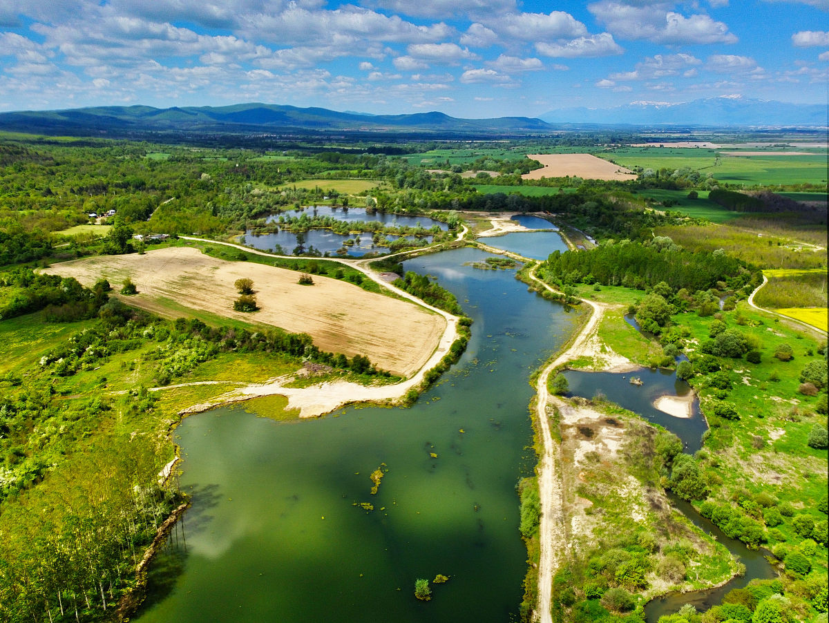 南四湖湿地植被演替及恢复技术研究 - 论文概述