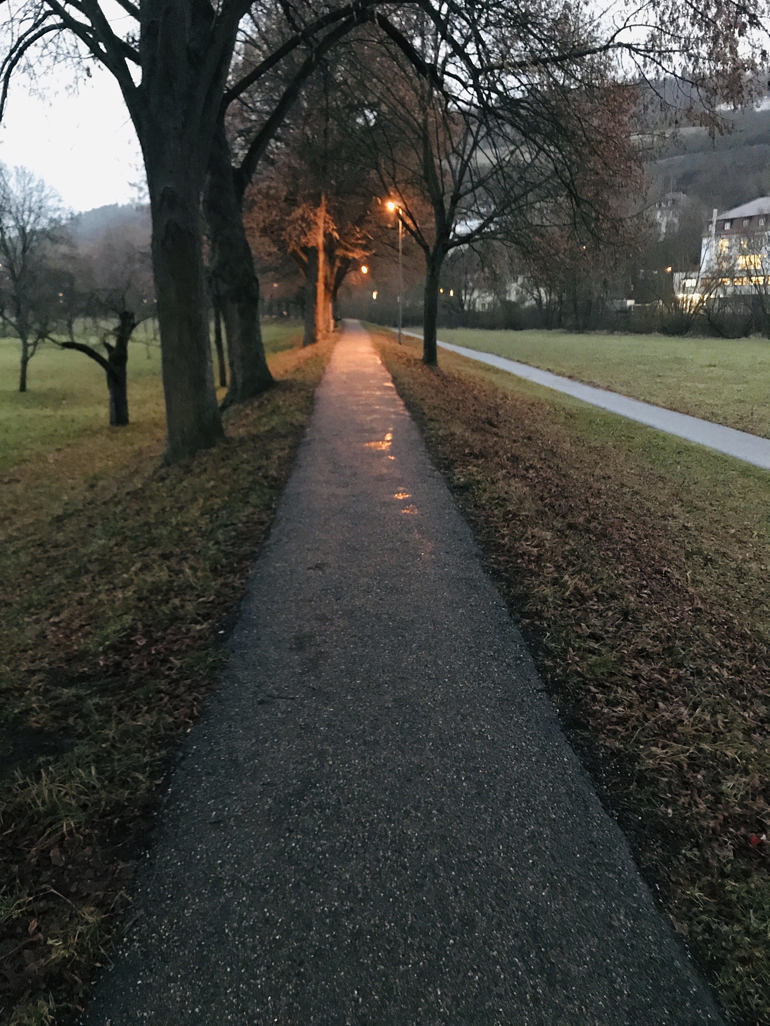 《我与地坛》感悟：生命的宝贵与意义