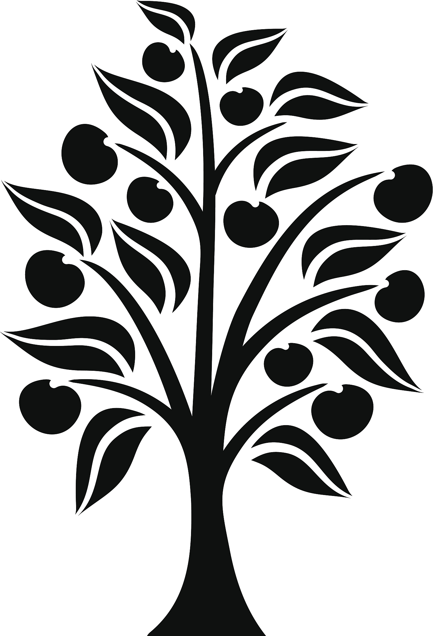 apple tree